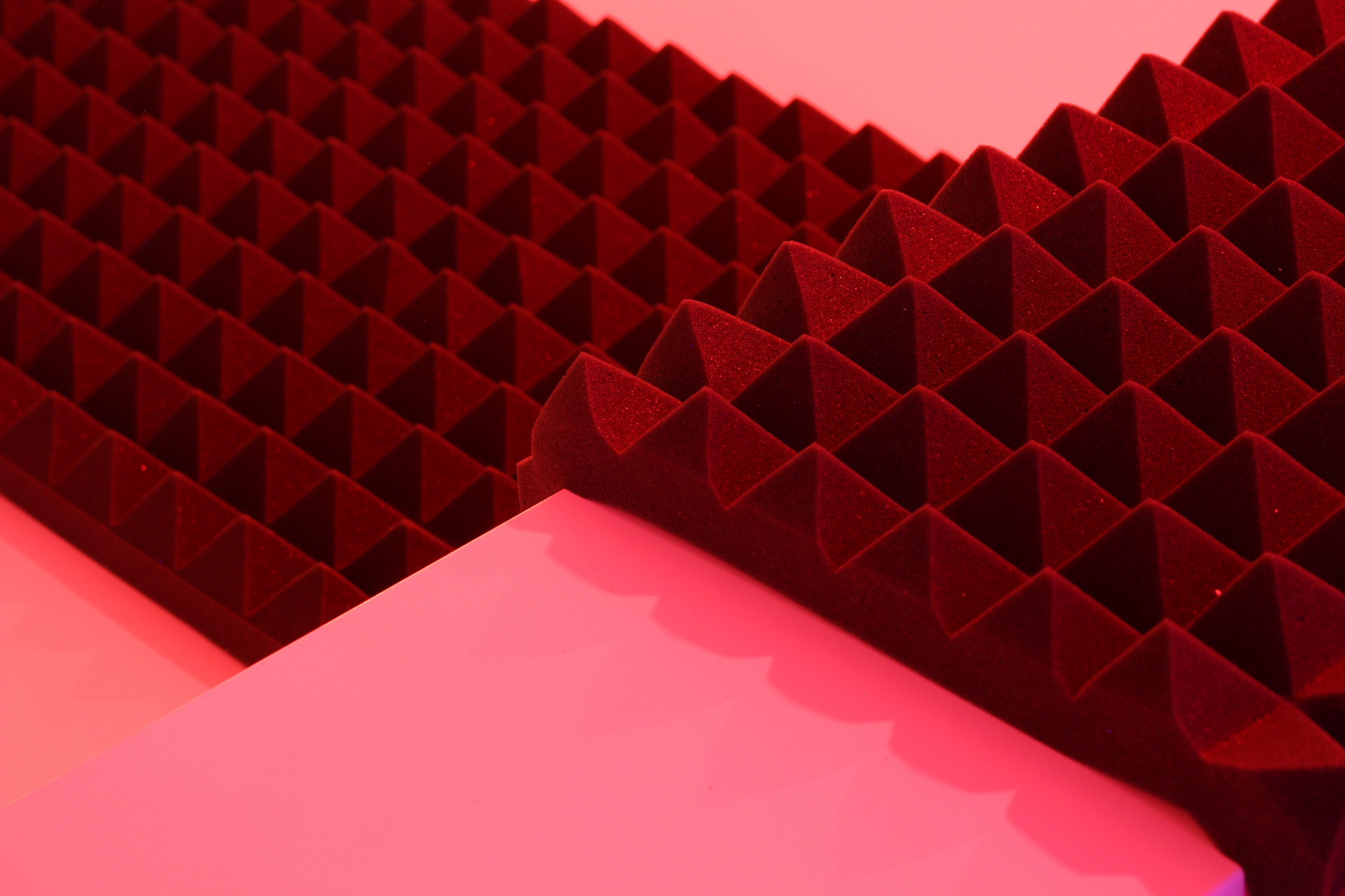 Dutch Design Week 2019 - Projet Homosensorium (w/Studio Raphaël Coutin)