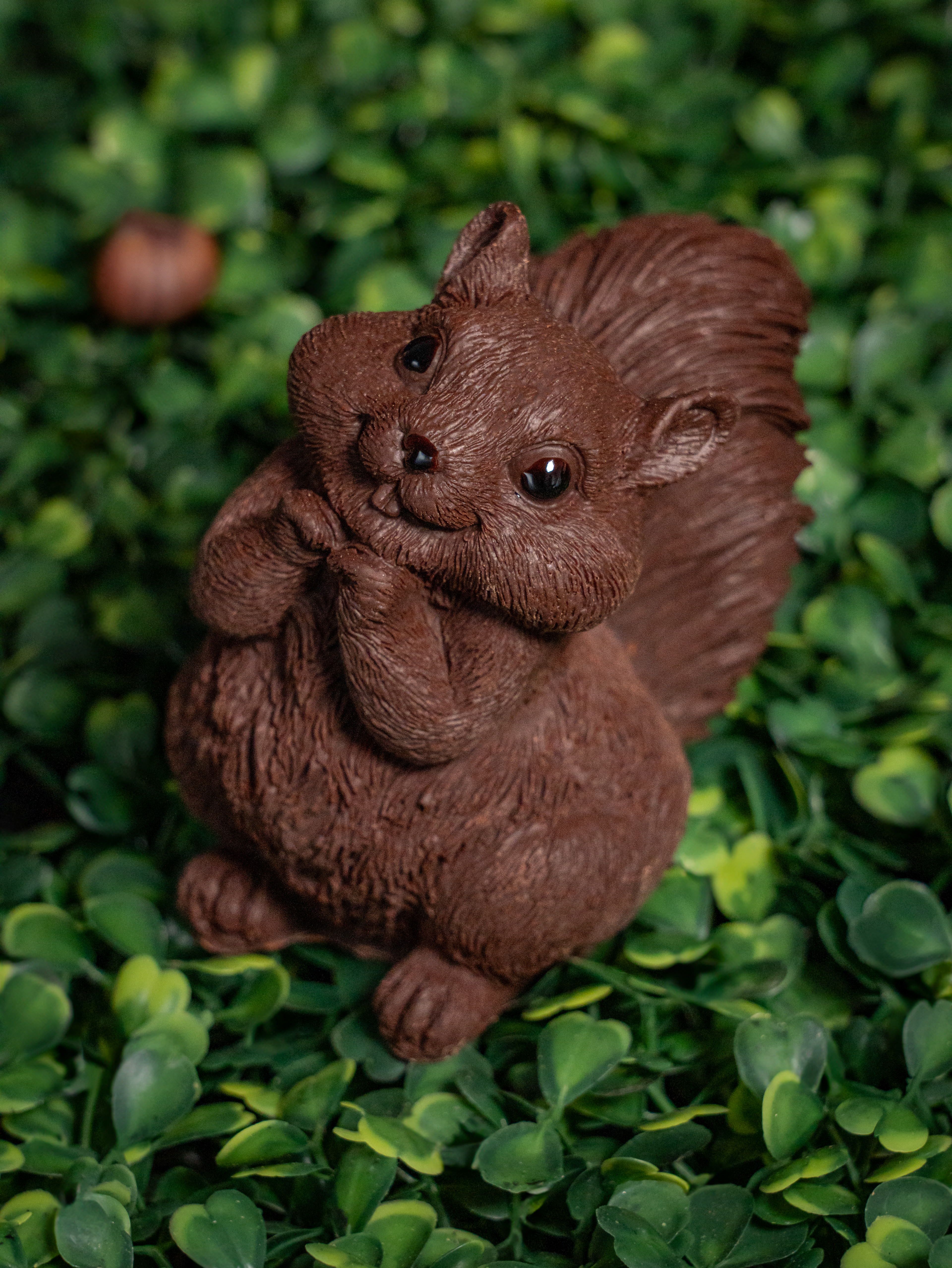 Photographie animalière en chocolat - Pâques 2025 - Chocolaterie Goutte émoi