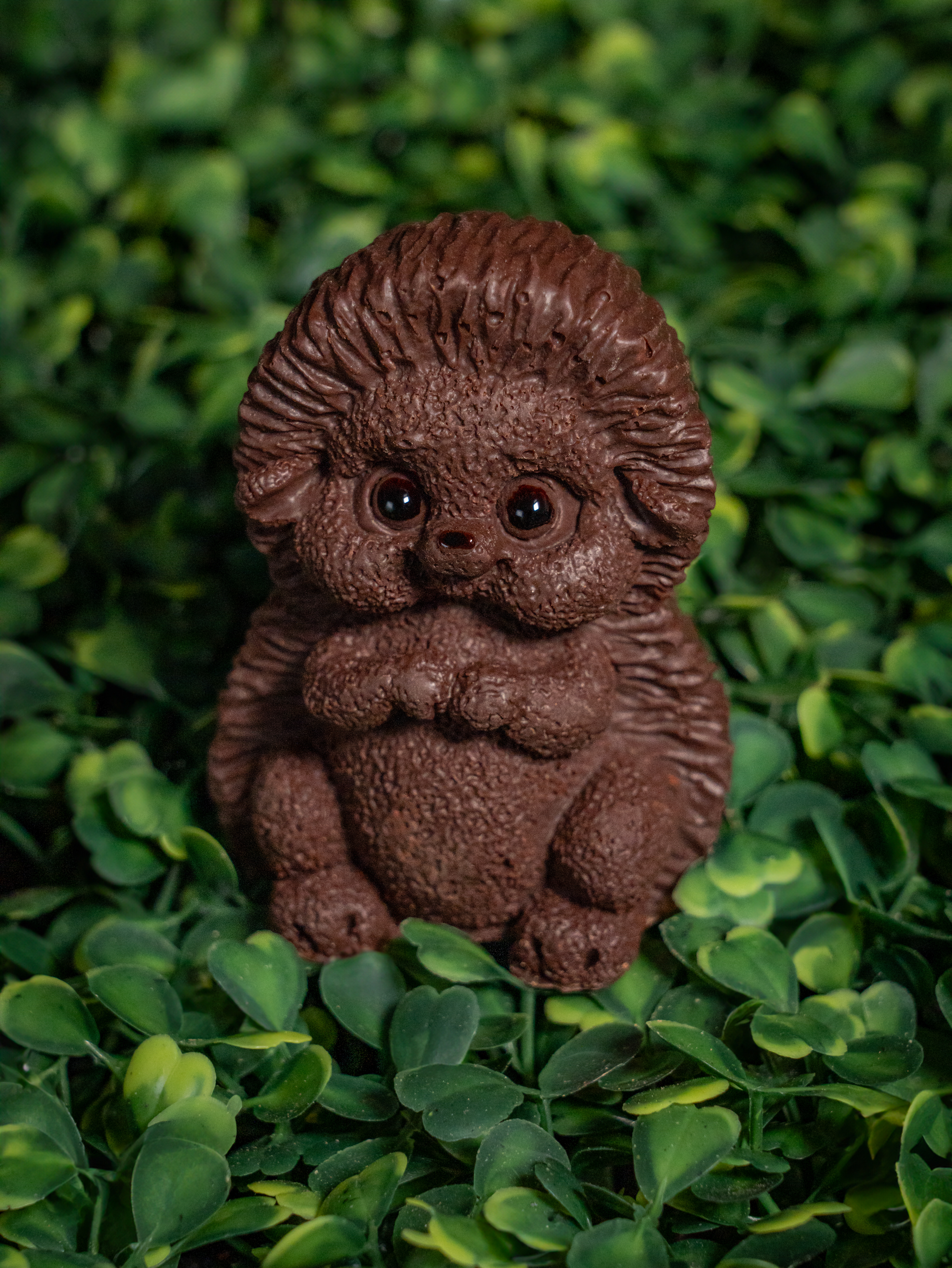 Photographie animalière en chocolat - Pâques 2025 - Chocolaterie Goutte émoi