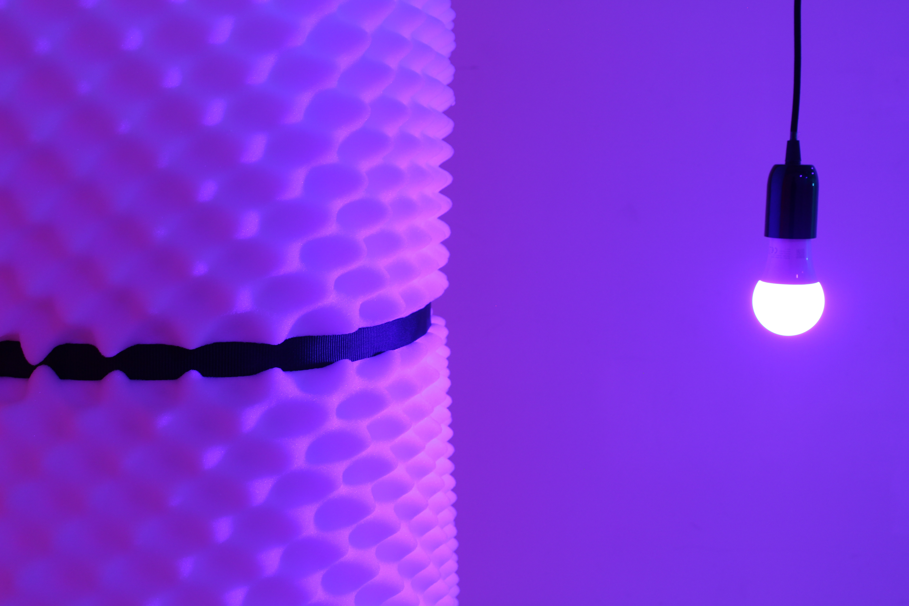 Dutch Design Week 2019 - Projet Homosensorium (w/Studio Raphaël Coutin)