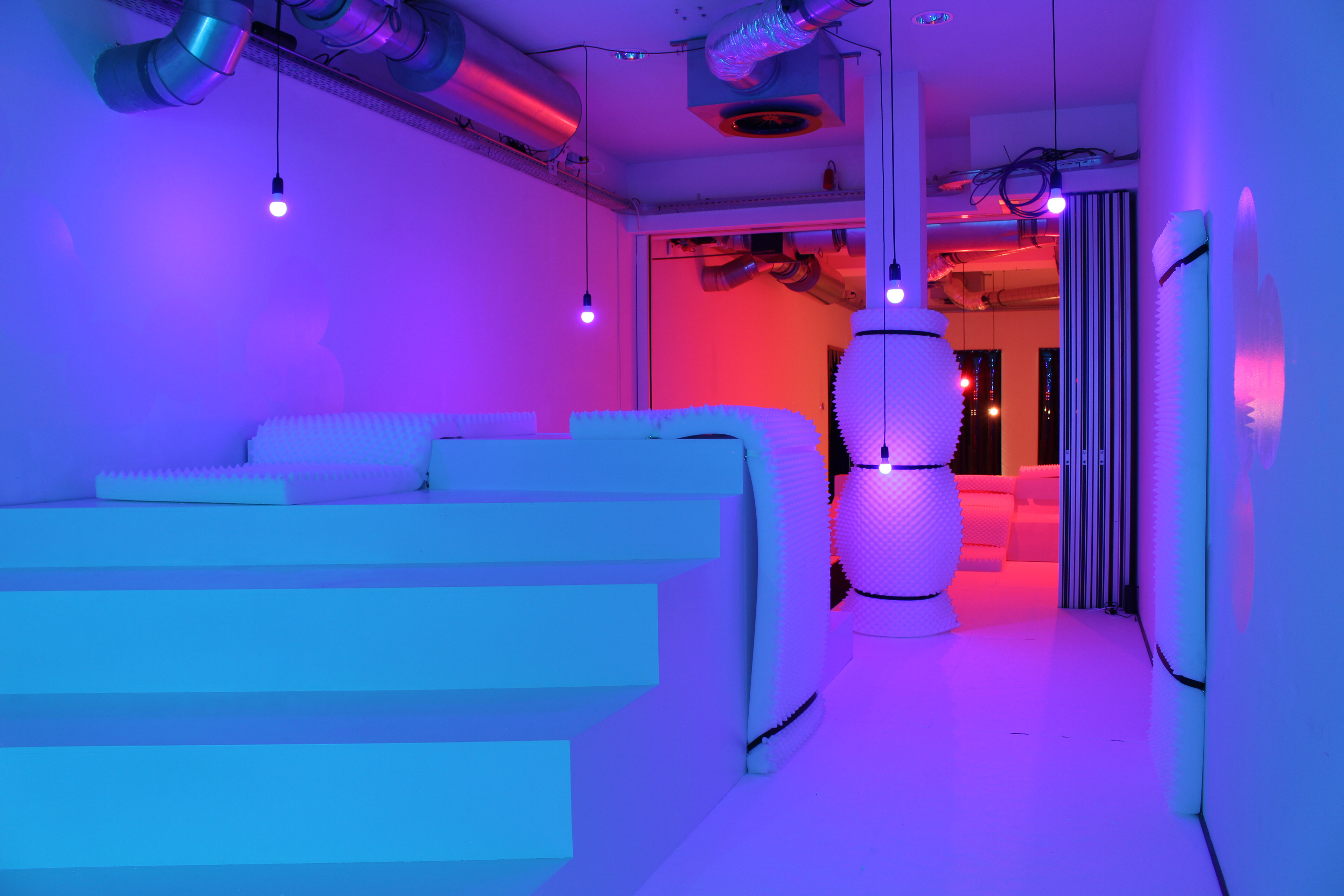 Dutch Design Week 2019 - Projet Homosensorium (w/Studio Raphaël Coutin)