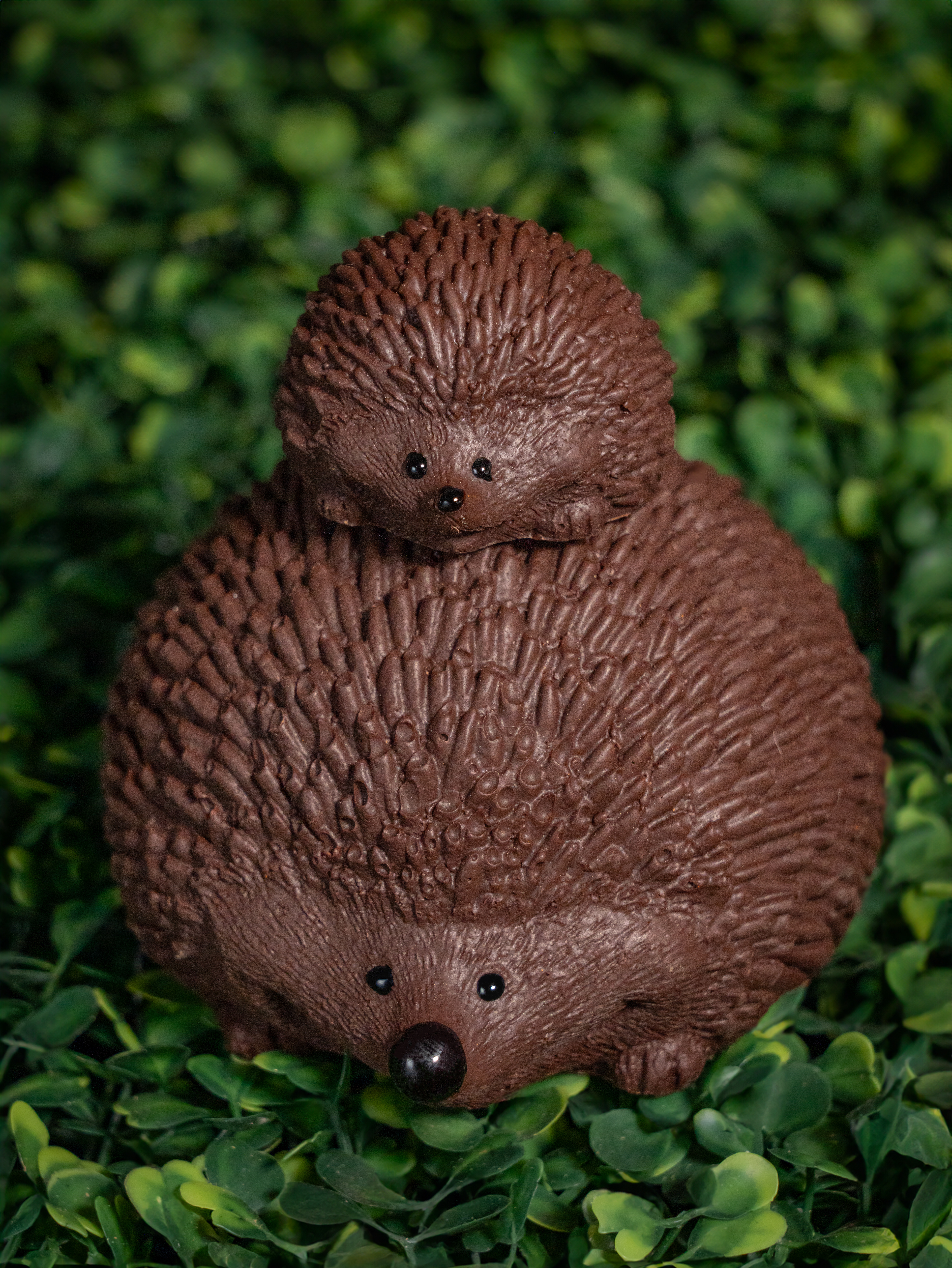 Photographie animalière en chocolat - Pâques 2025 - Chocolaterie Goutte émoi