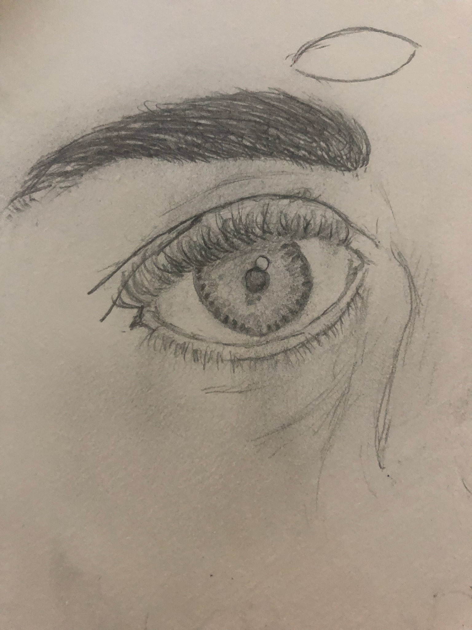 Eye