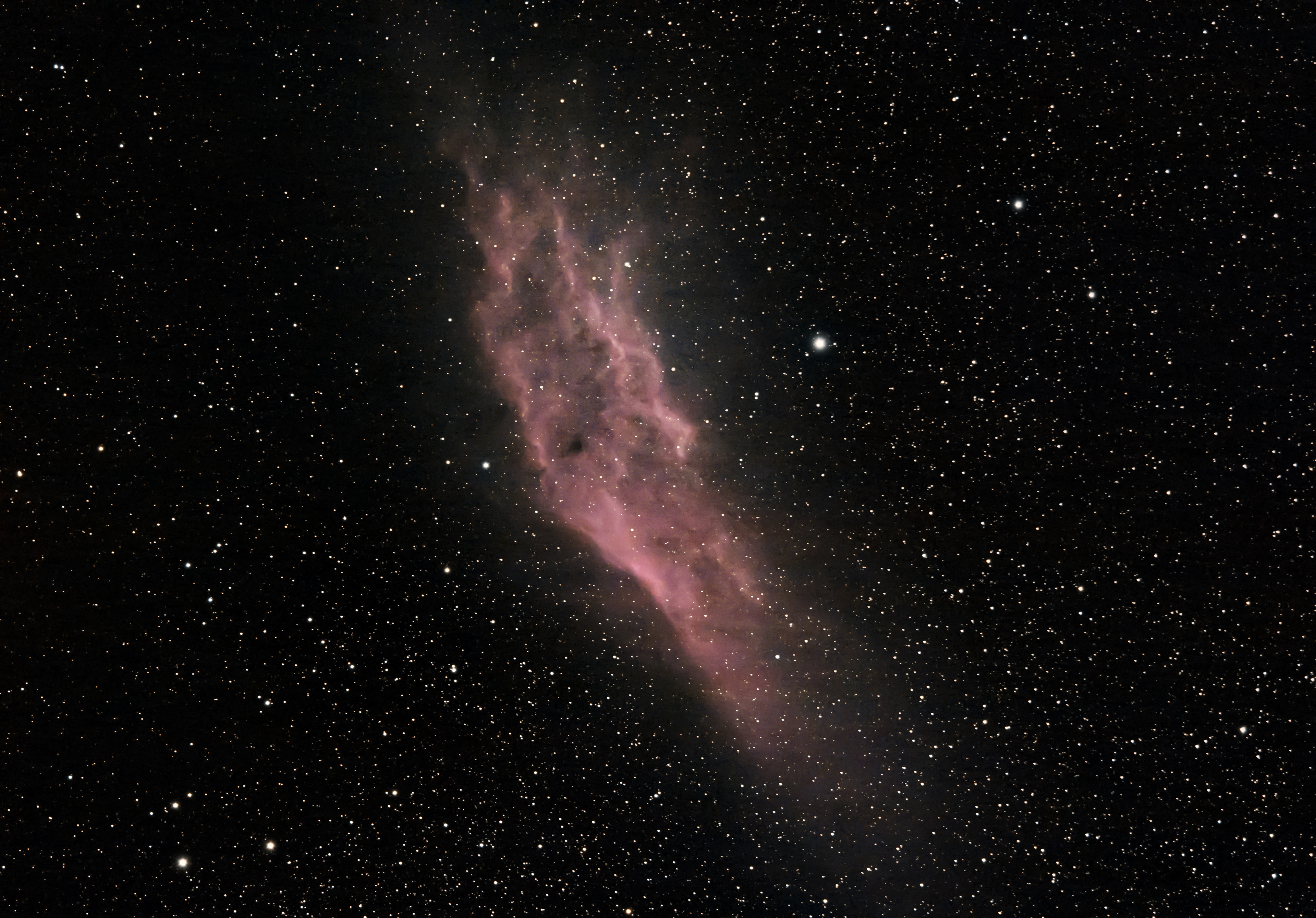 California Nebula (NGC 1499), 1,000 light-years away