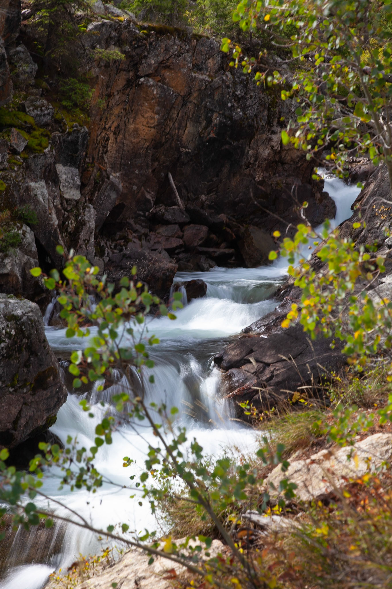 Flowing down to Jenny Lake