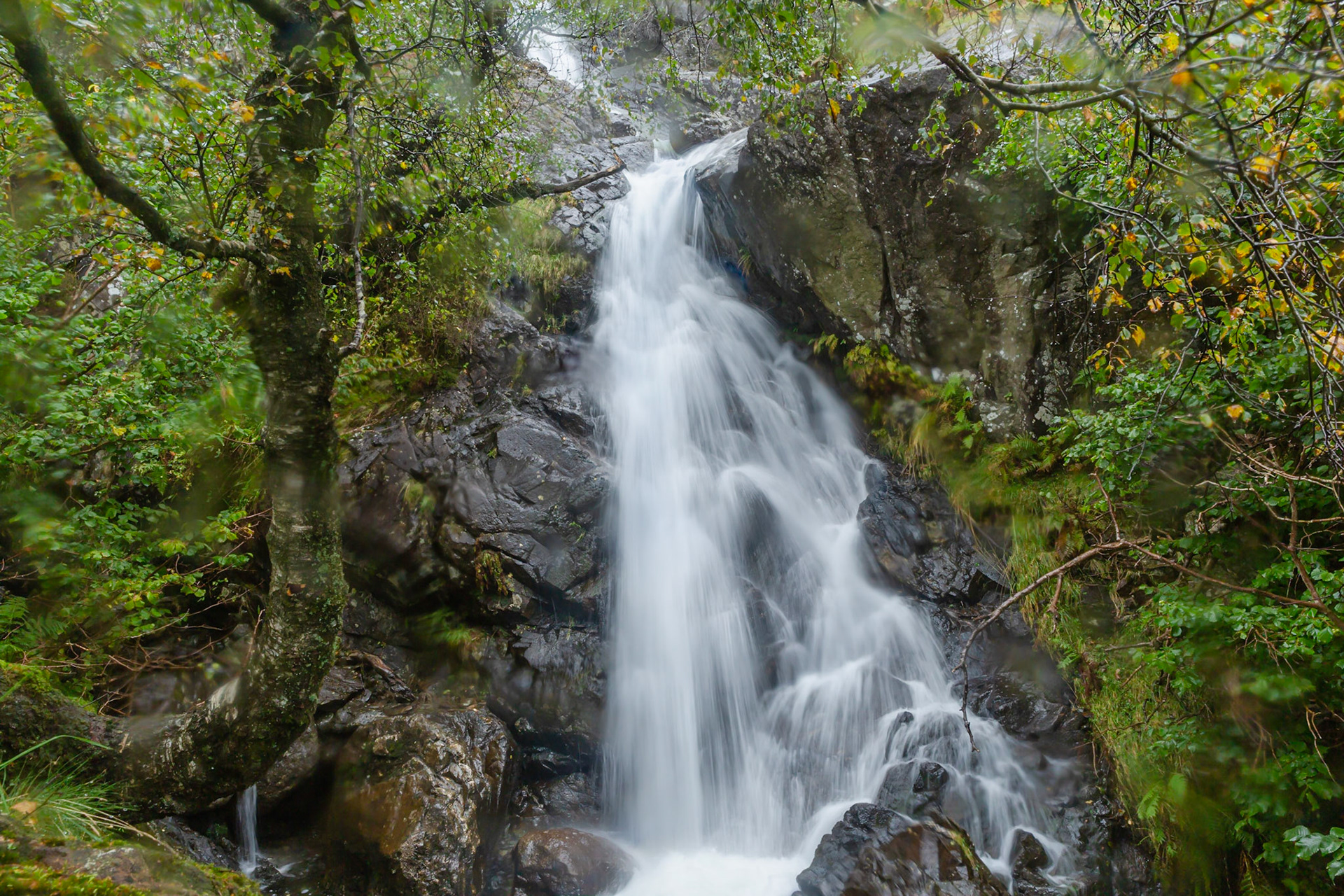 Dovedale stream goes into a gorge
