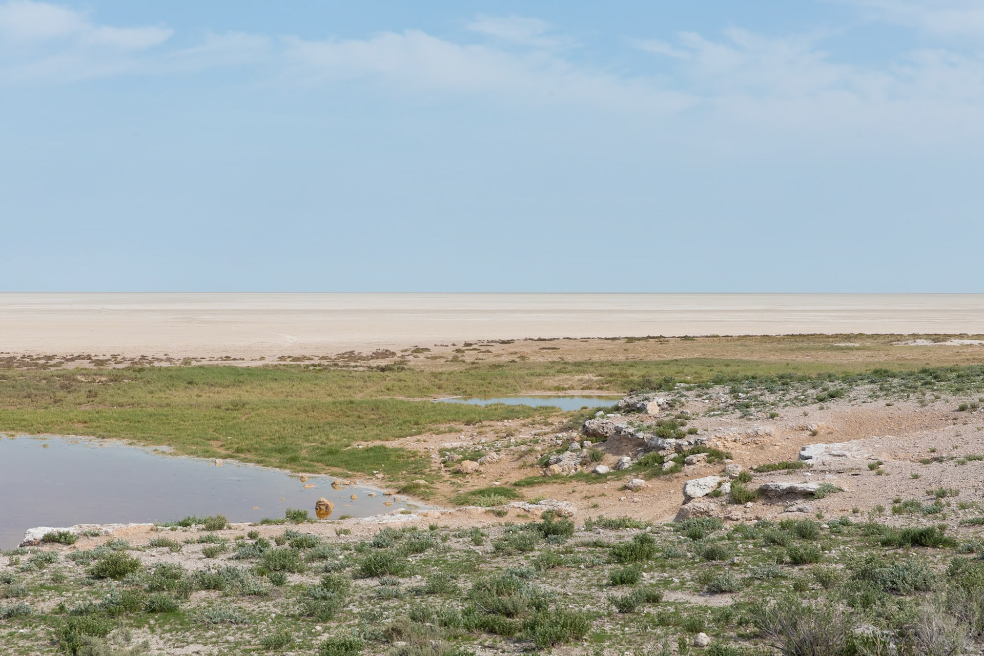 Waterhole - Etosha Pan