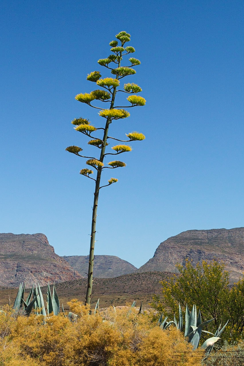 On the way to Prince Albert