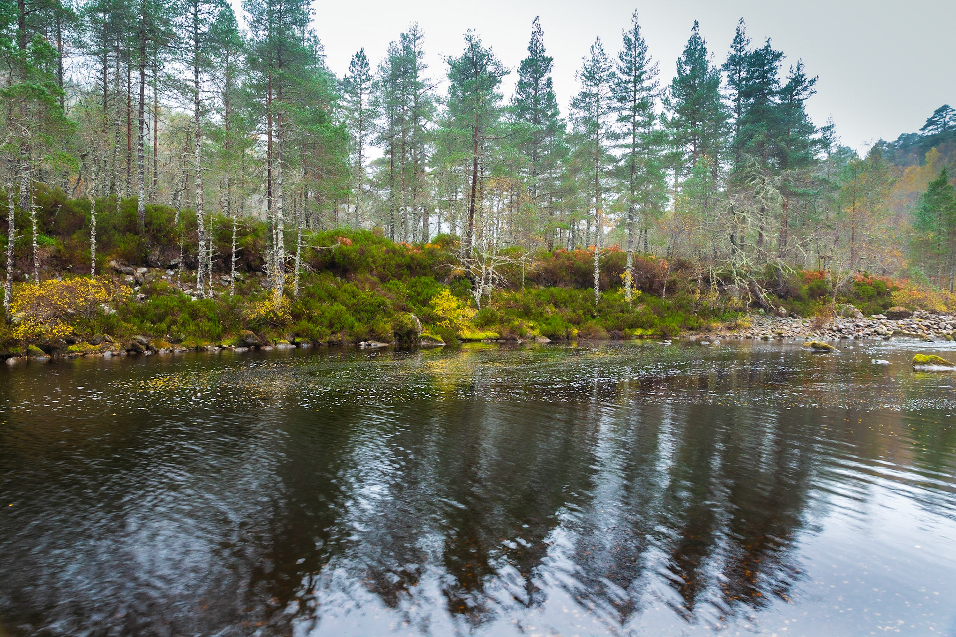 River Affric