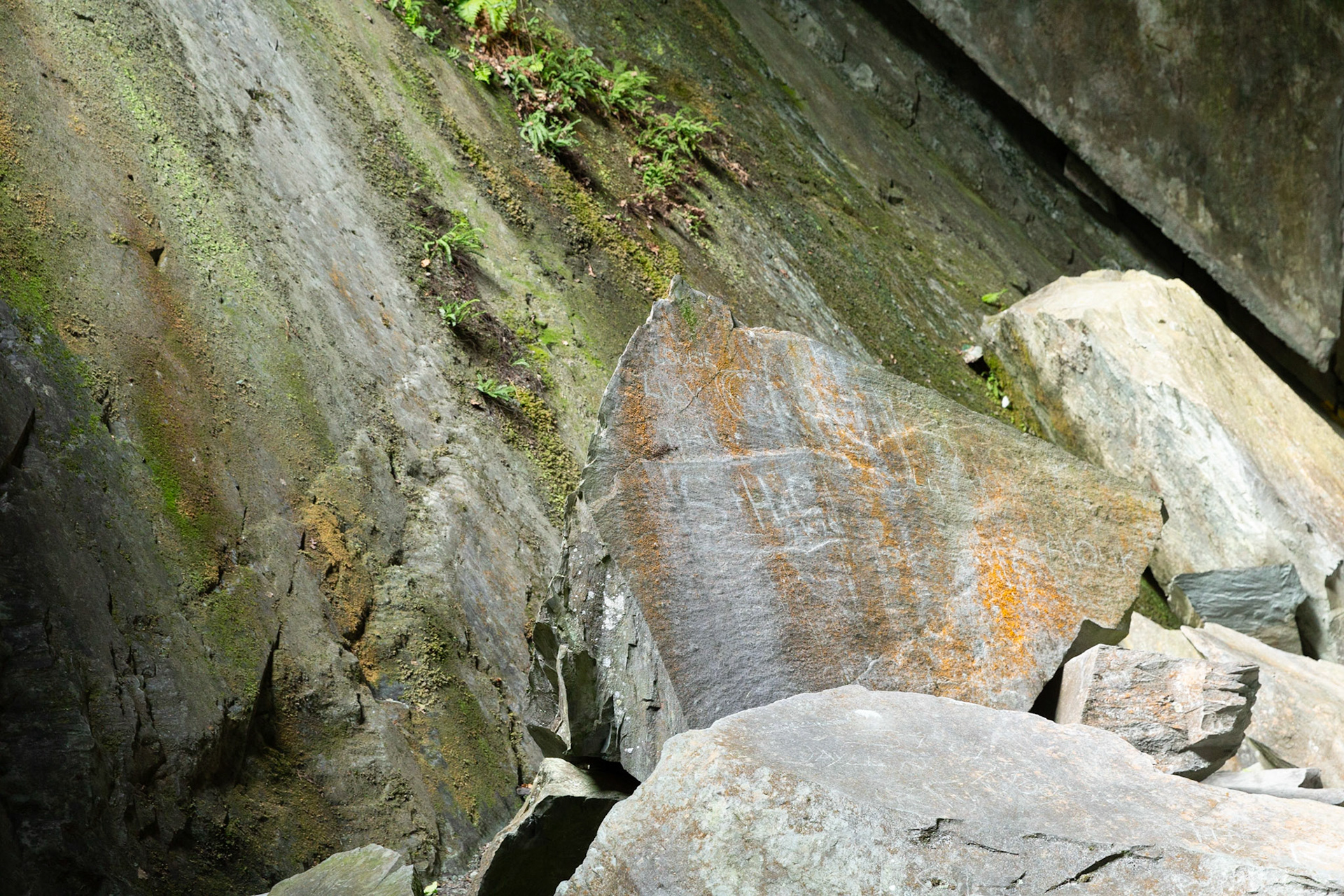 Rocks in Catherdral cave