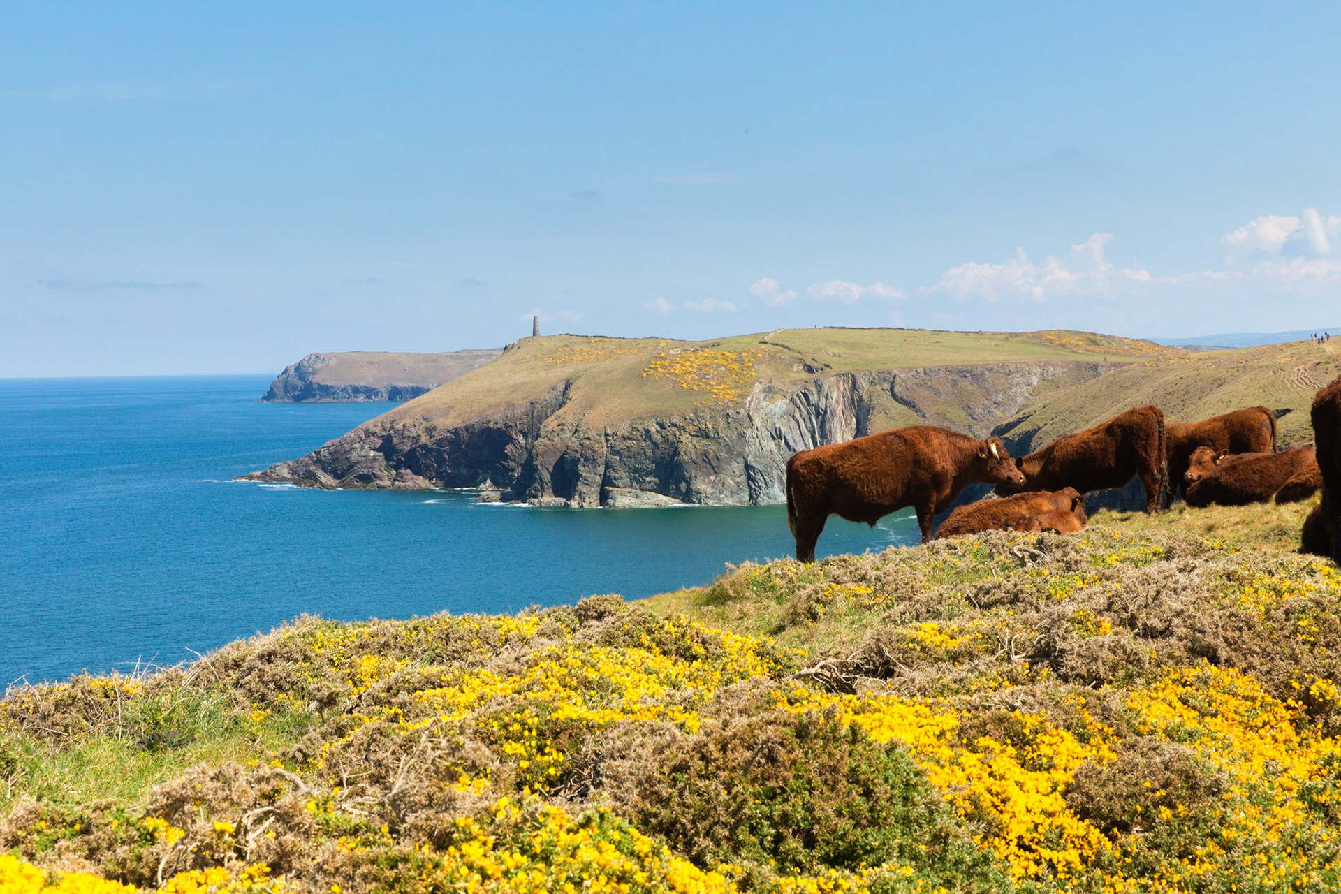 Towards Stepper Point
