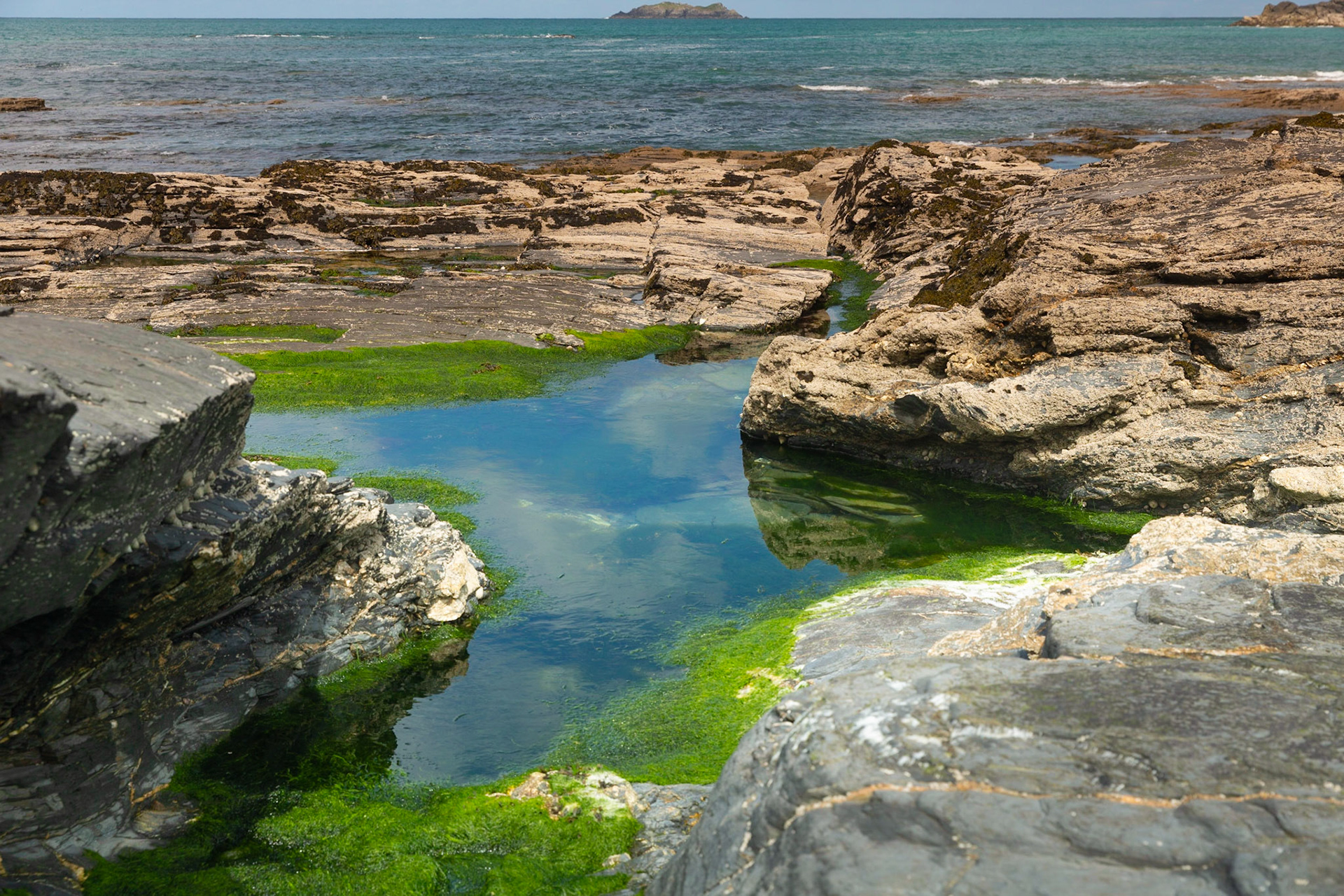 Rock Pool, Trevone