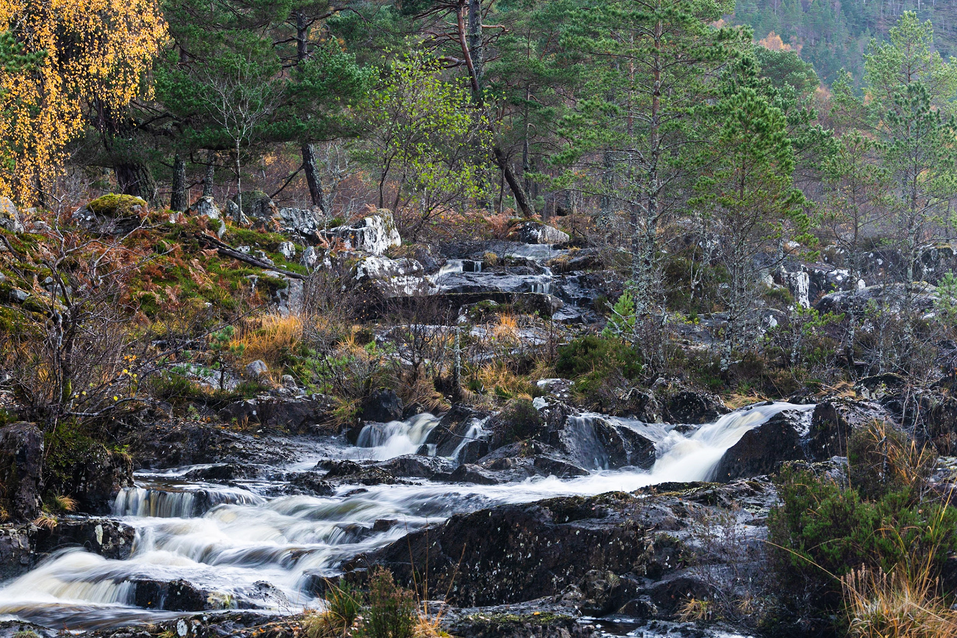 Falls on River Cannich