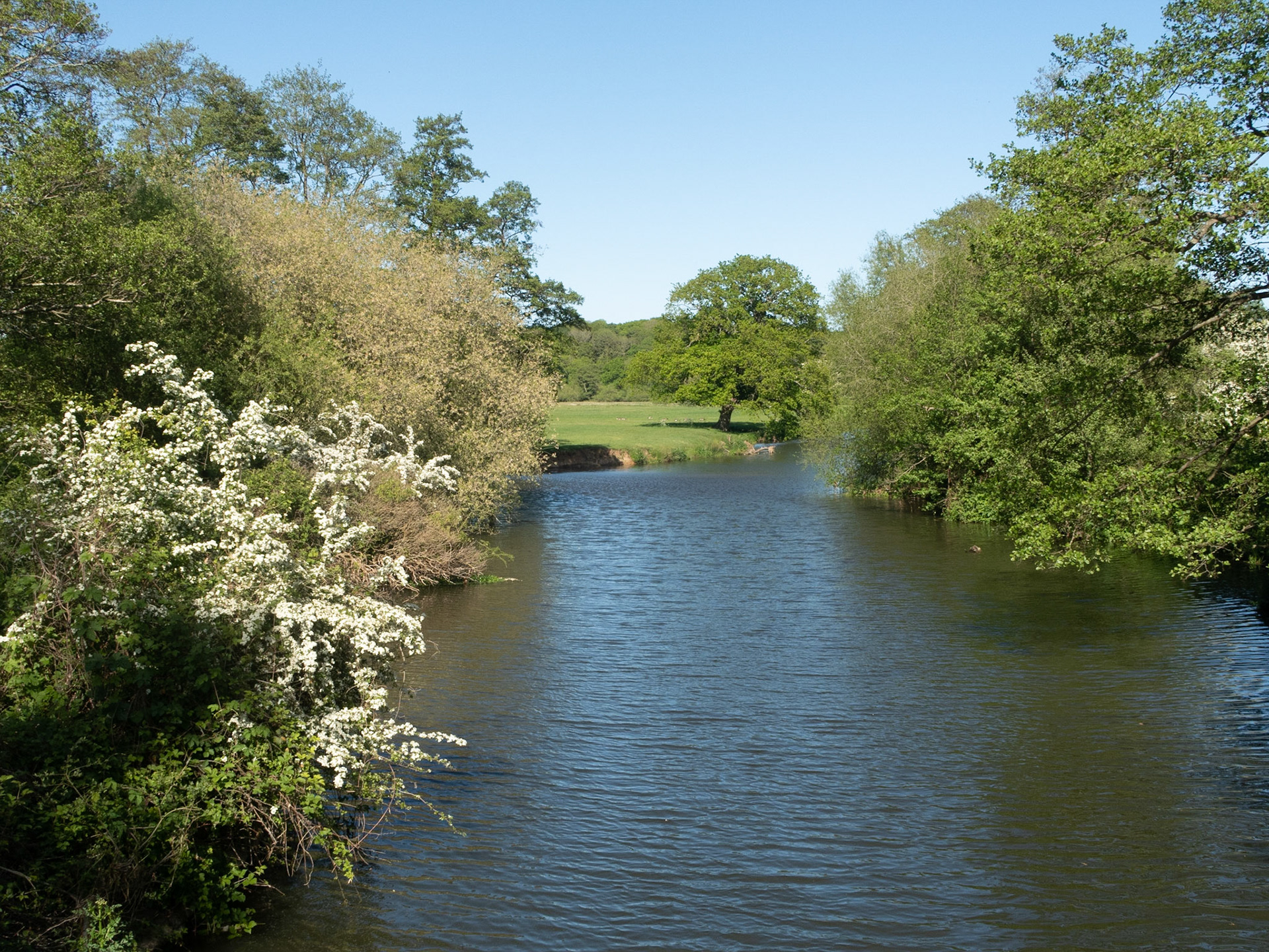 River Wey