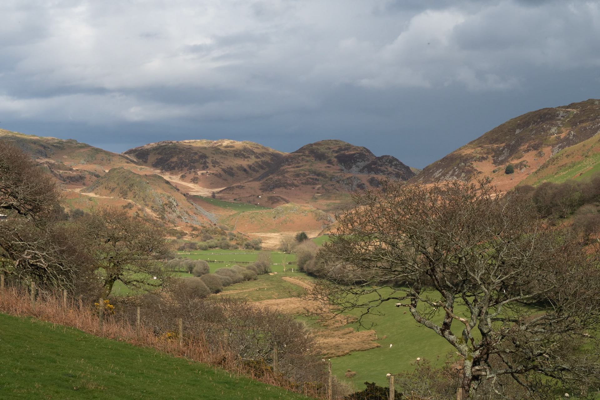 Happy Valley from Byrn Dinas