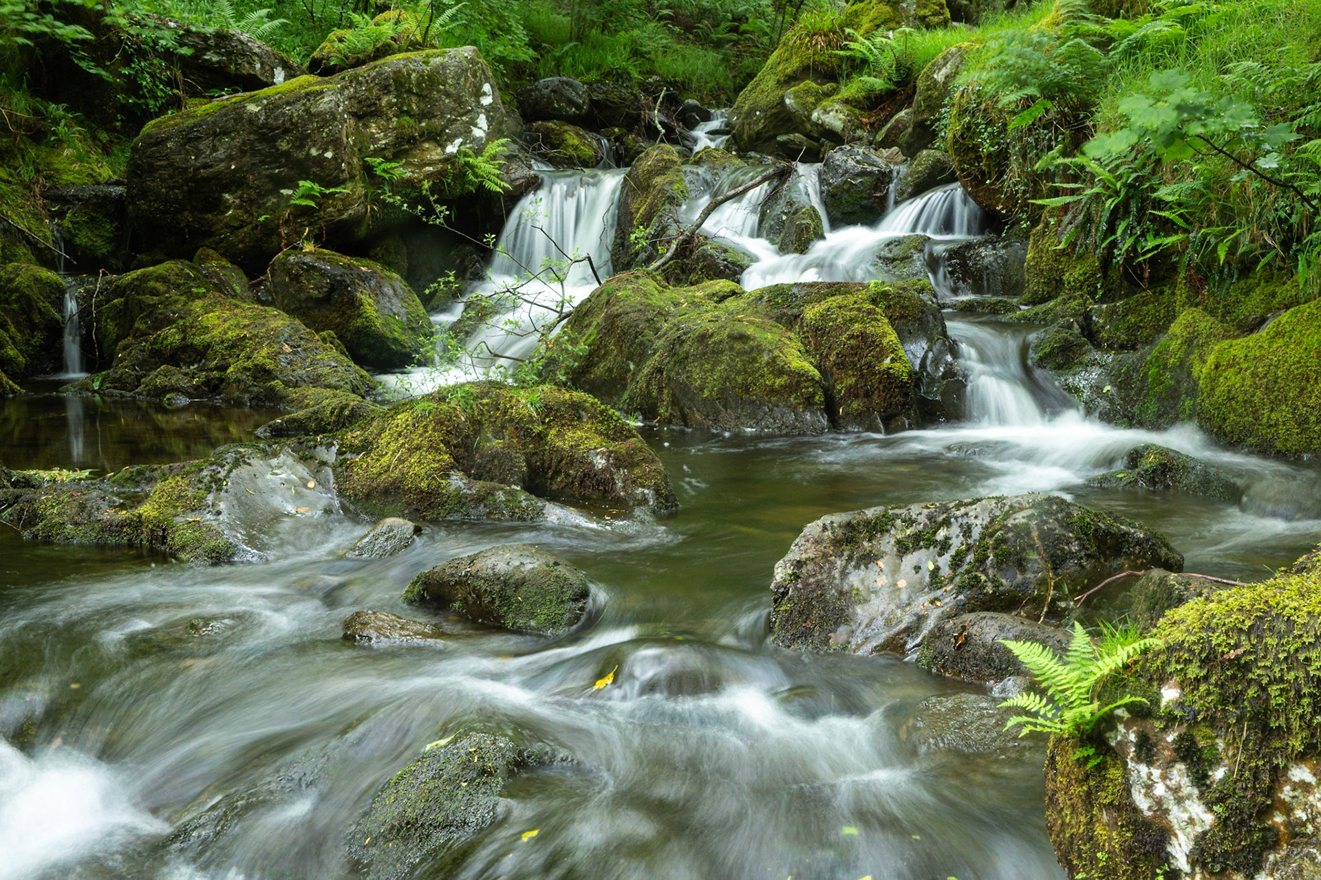 Dolgoch Falls- Snowdonia
