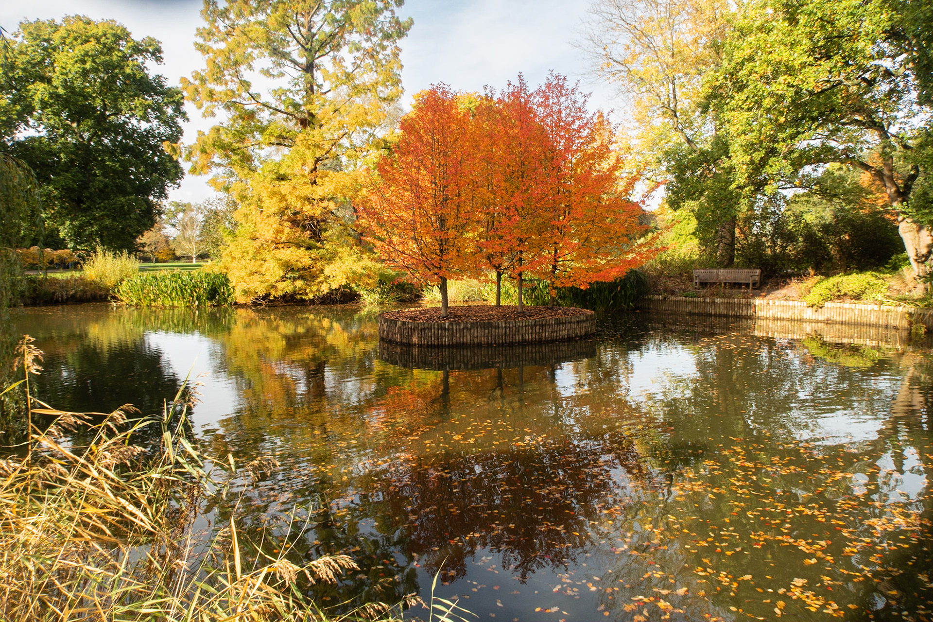 RHS Wisley