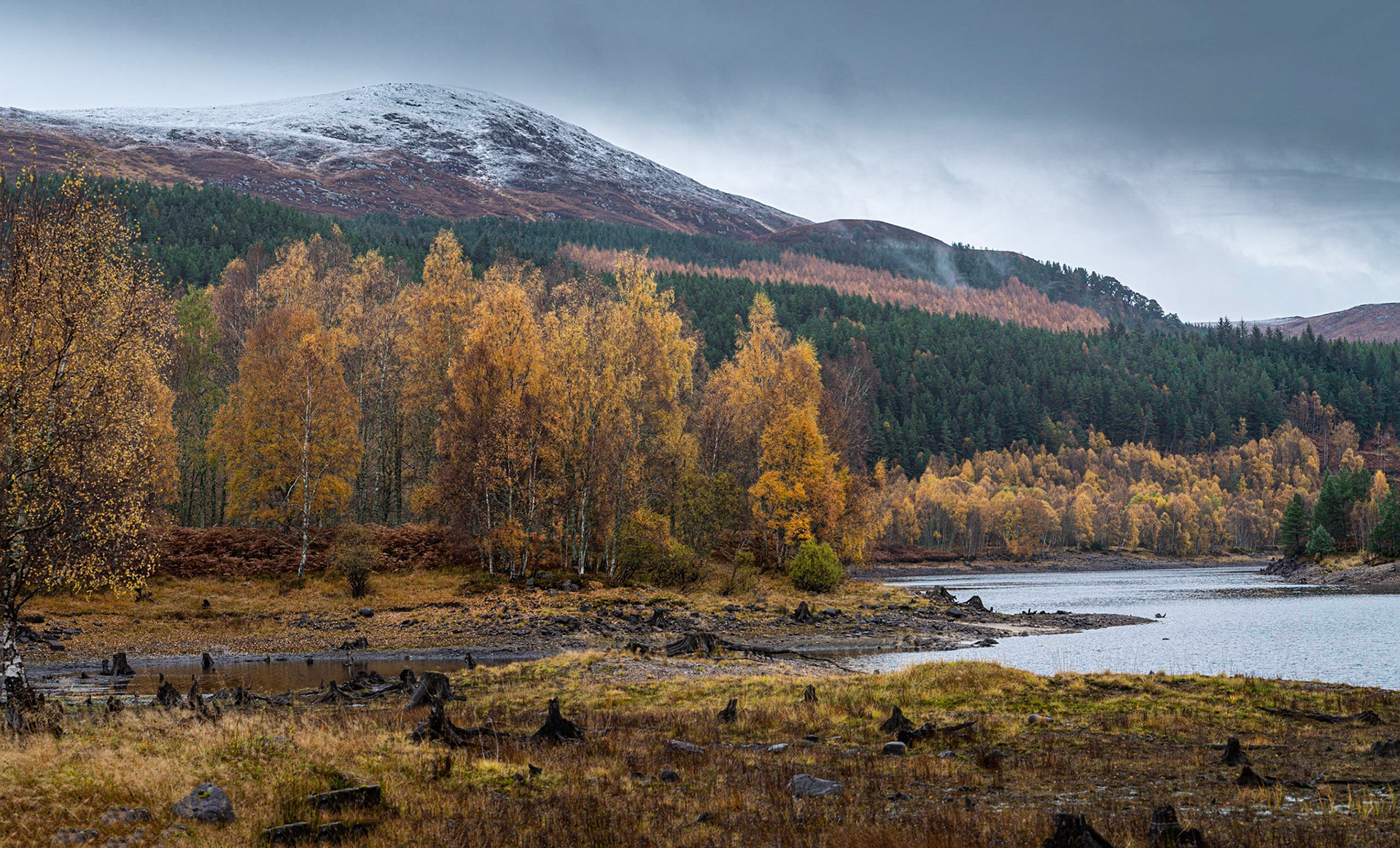 (Panorama) Shoreline at Loch Beinn a' Mheadhain, Glen Affric