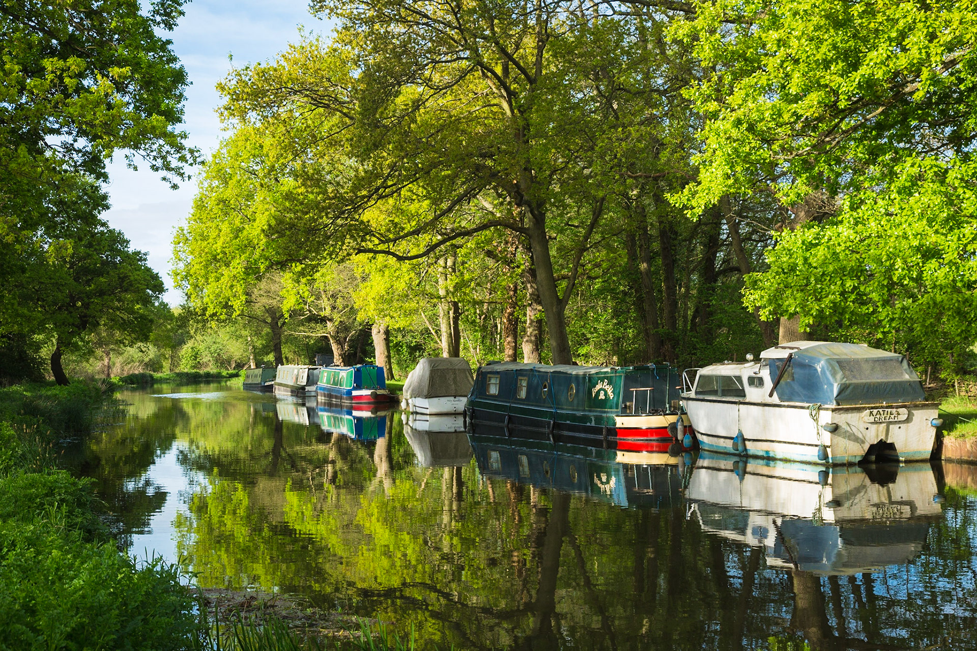 May morning on Wey Navigation, Pyrford
