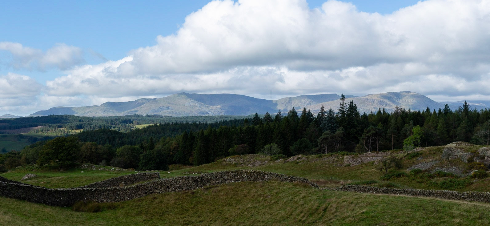 Coniston Fells - Looking over Grizedale Forest