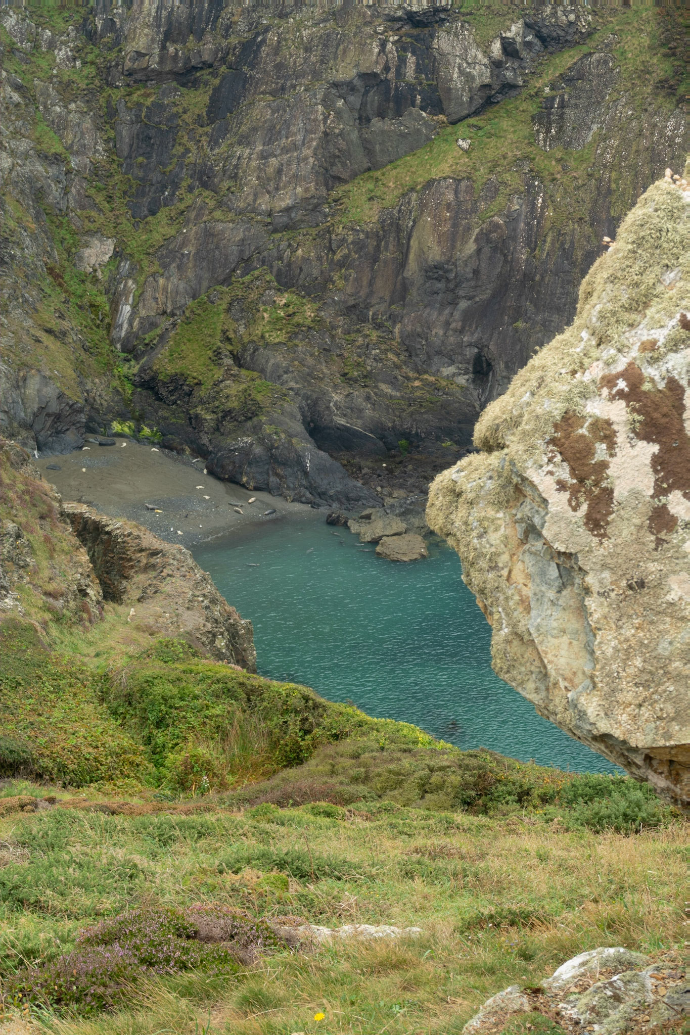 Pwllperi beach and cliffs