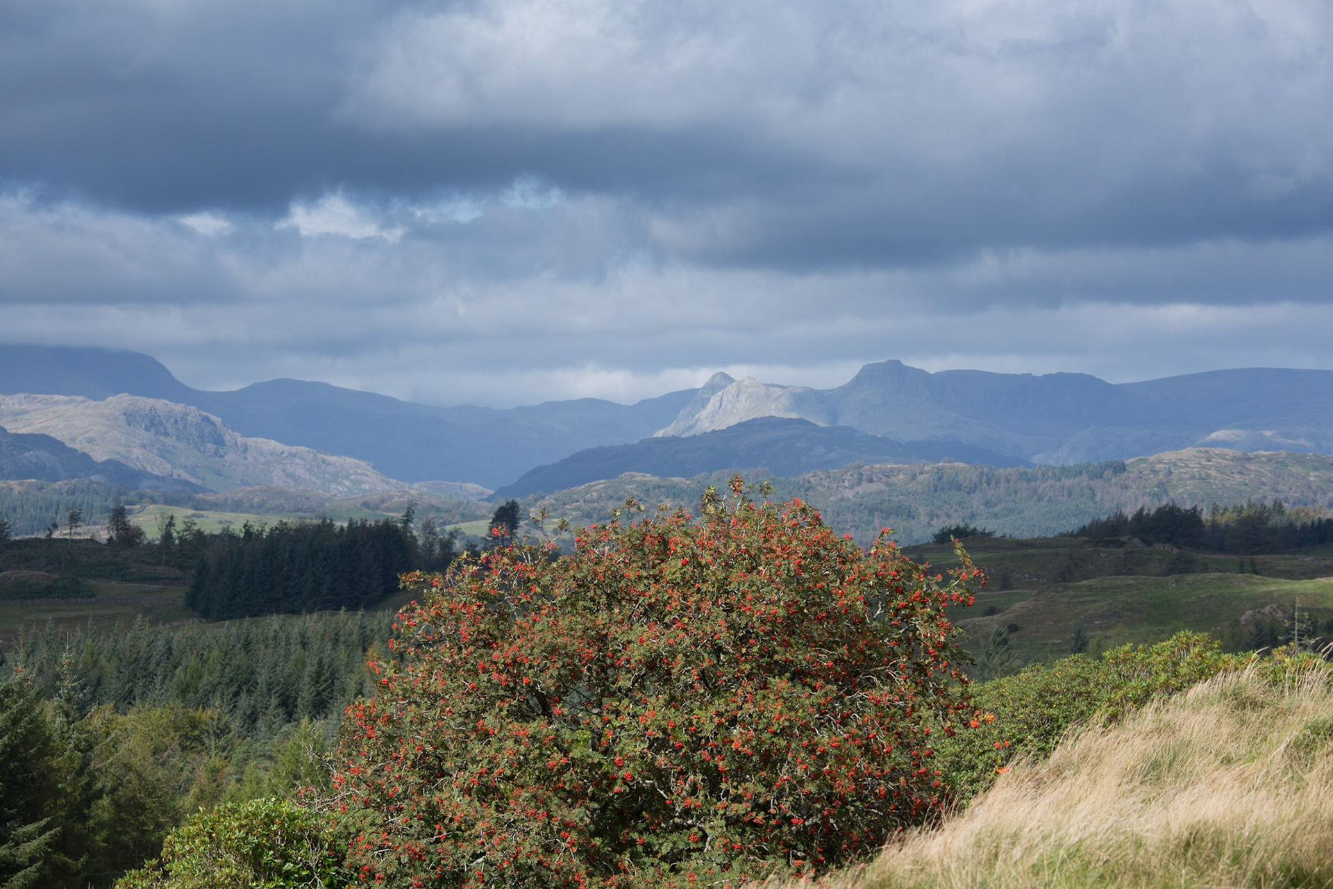 Langdales - From 229(!) above Sawrey