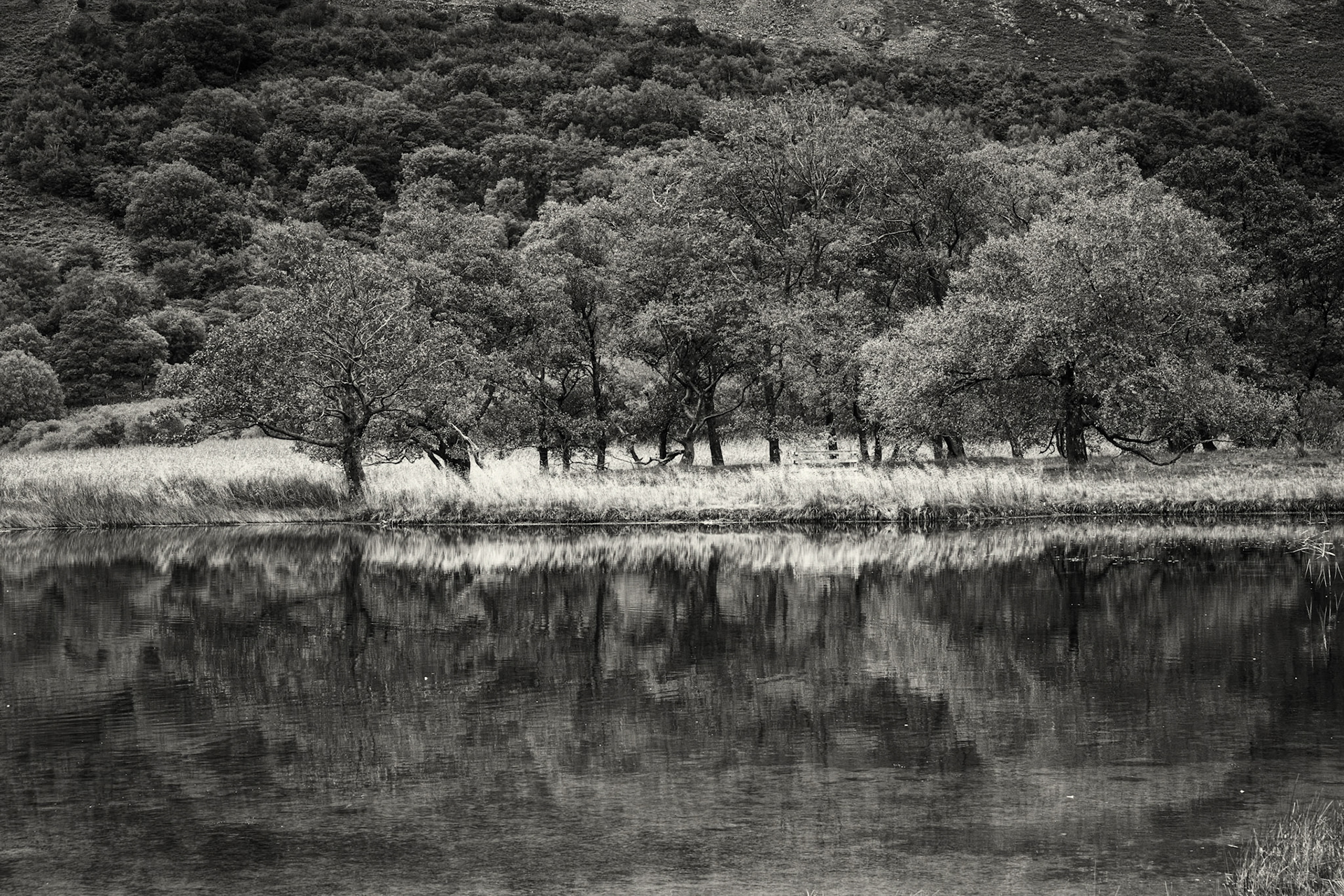 Brotherswater reflections