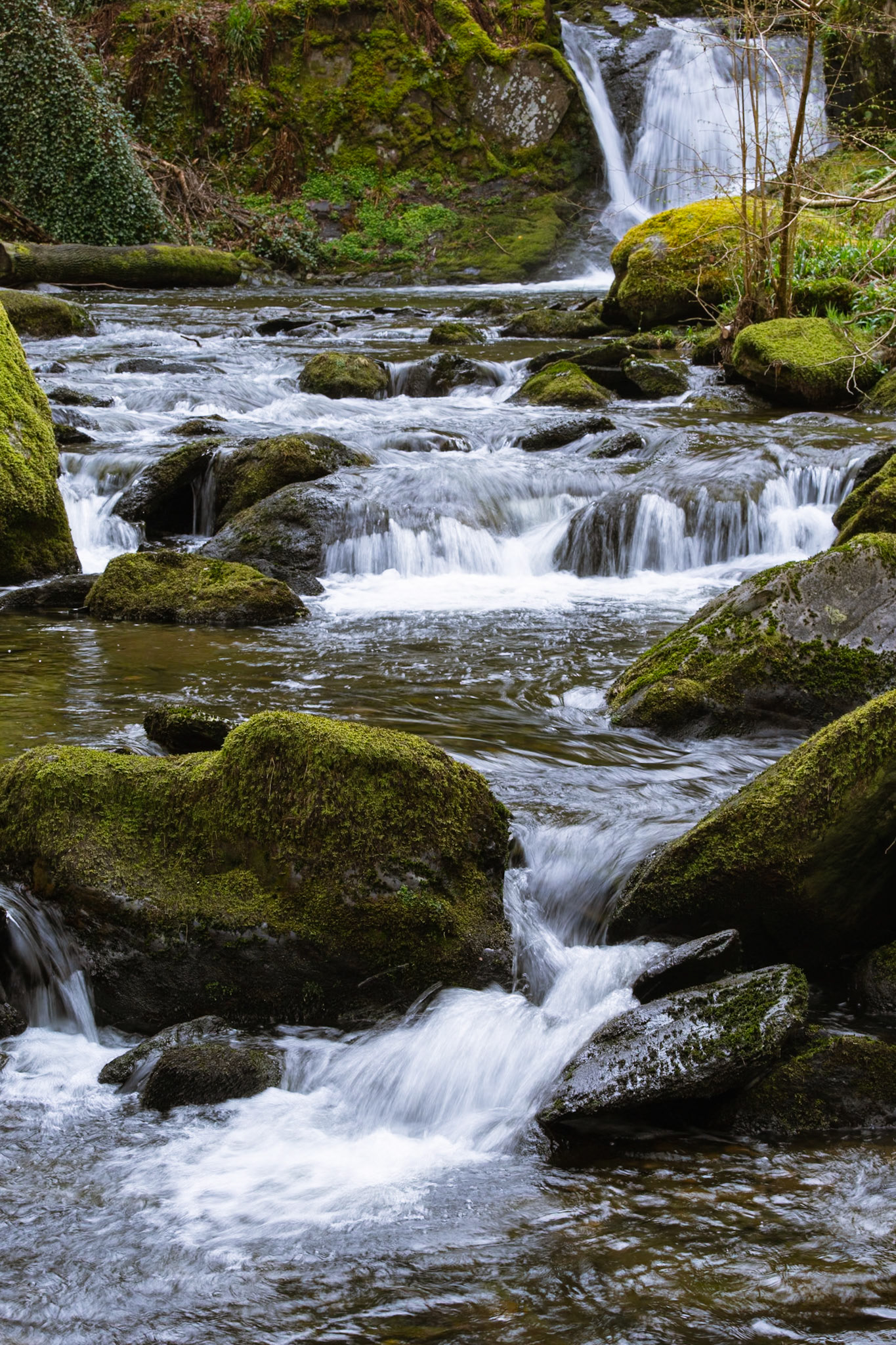 Dolgoch Falls