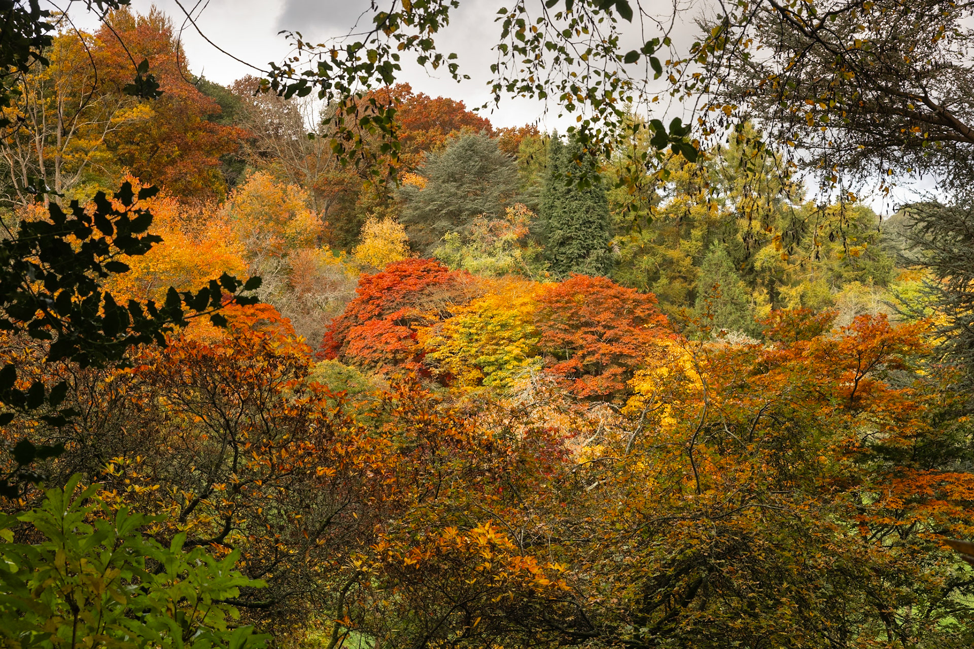 Winkworth - II