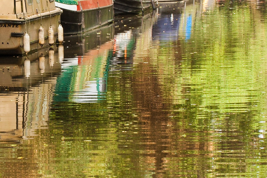 Watery shimmers - Wey Navigation, Pyrford