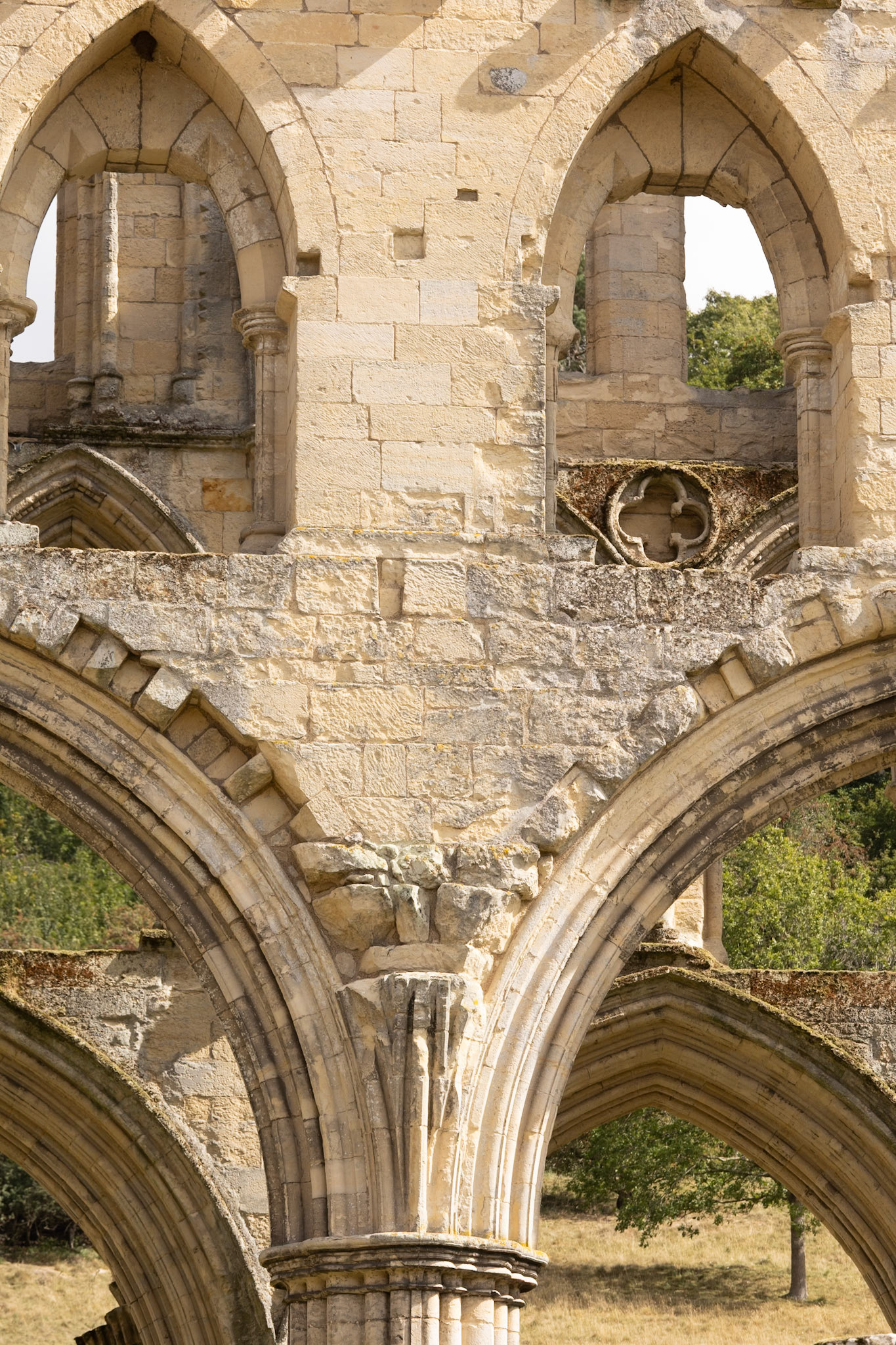 Rievaulx Abbey