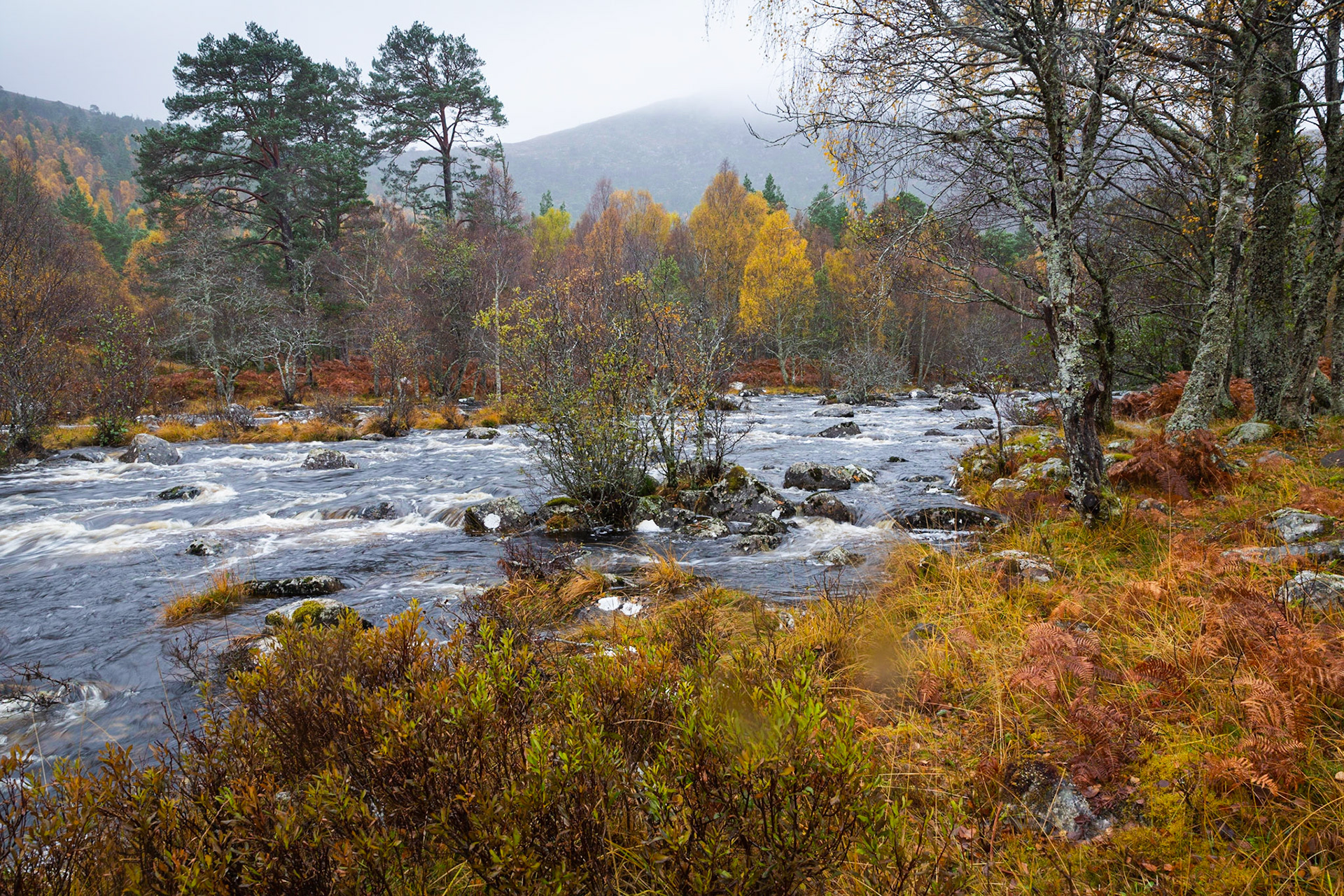 River Cannich
