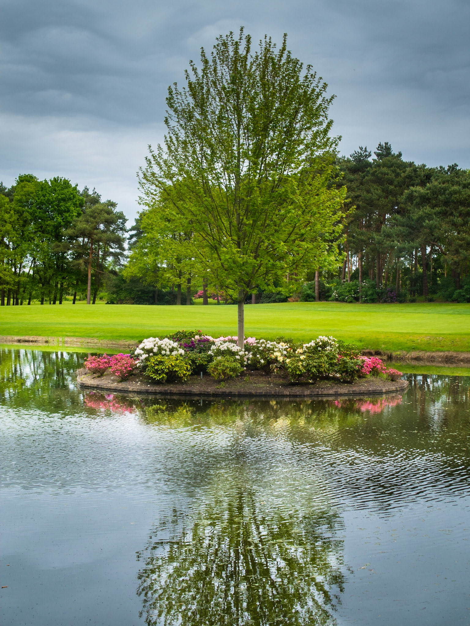 On Wisley Golf Course