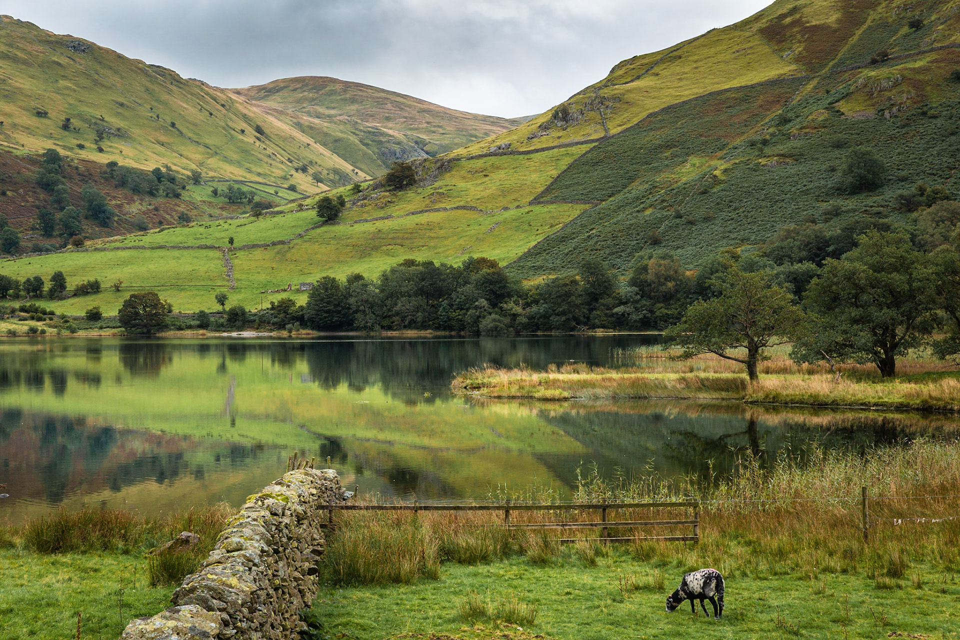 Brotherswater - Lake District