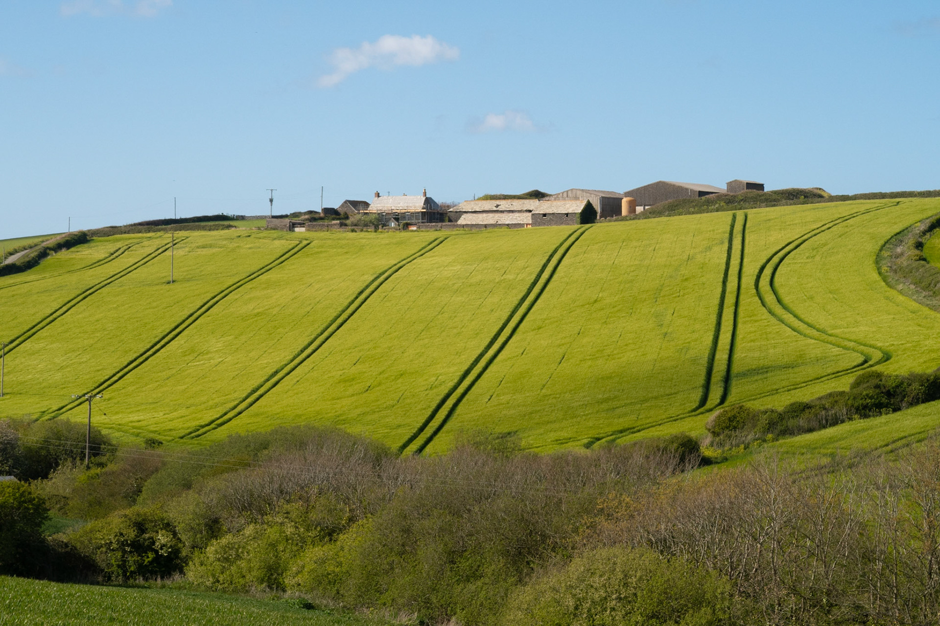 Farmland near Trevone