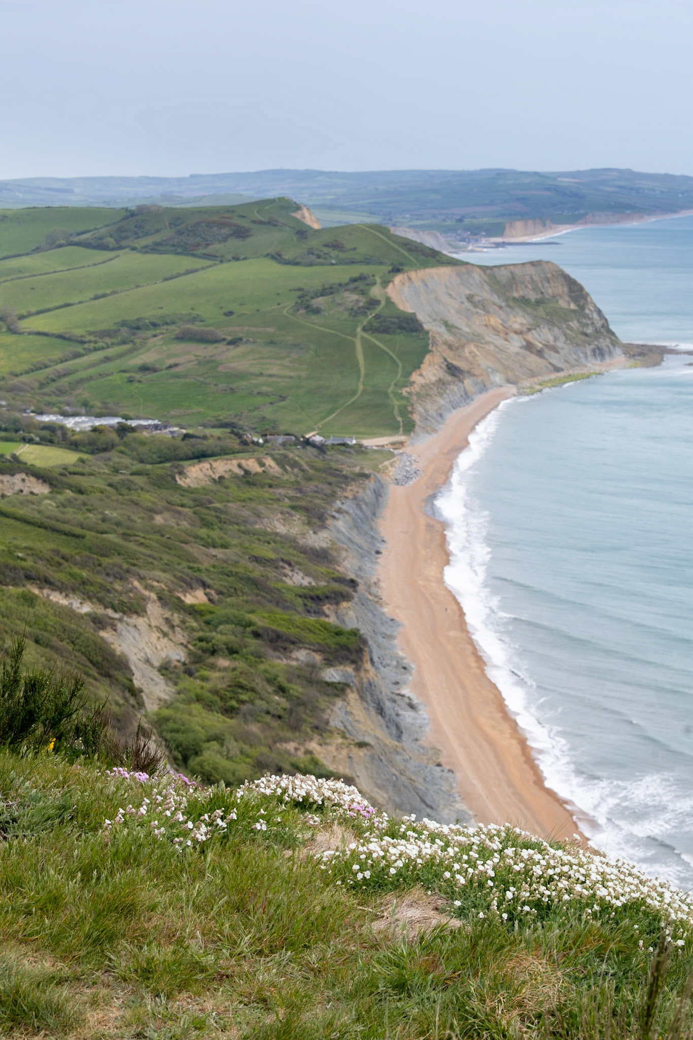 Seatown from Golden Gap