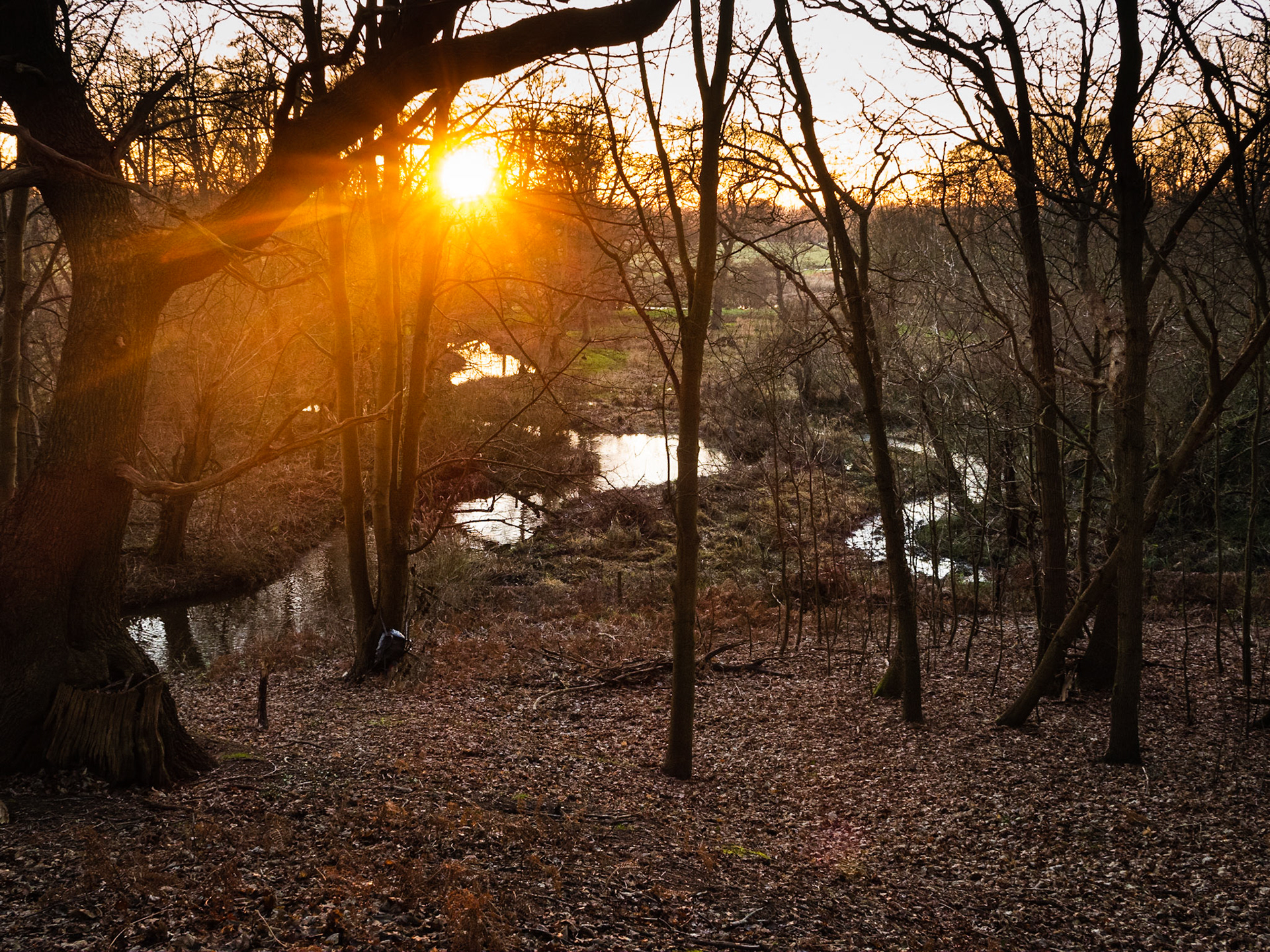 Towards Newark Priory