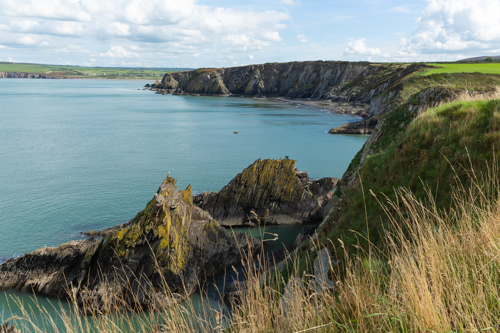 Path to Newport