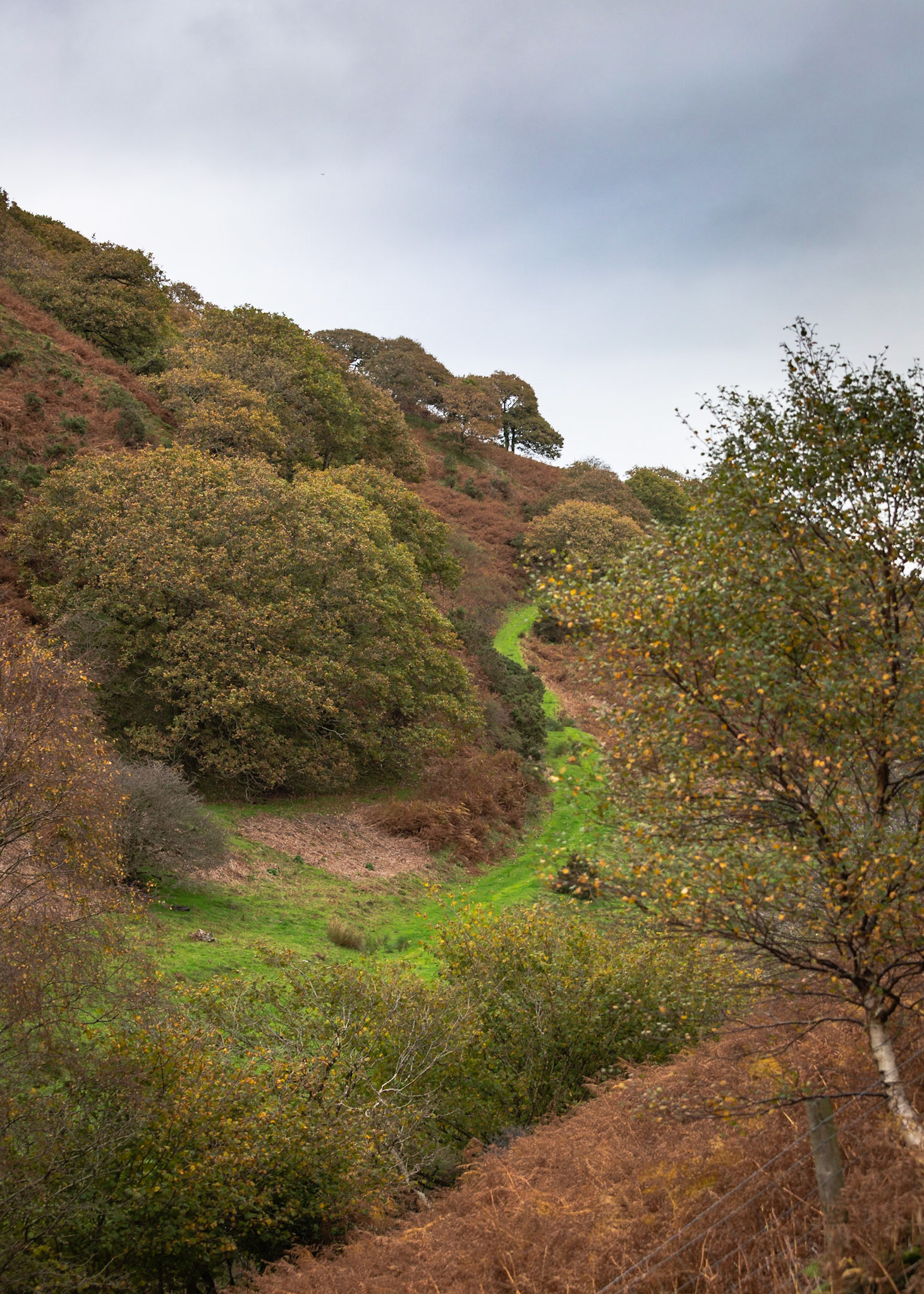 Cwm Maethlon