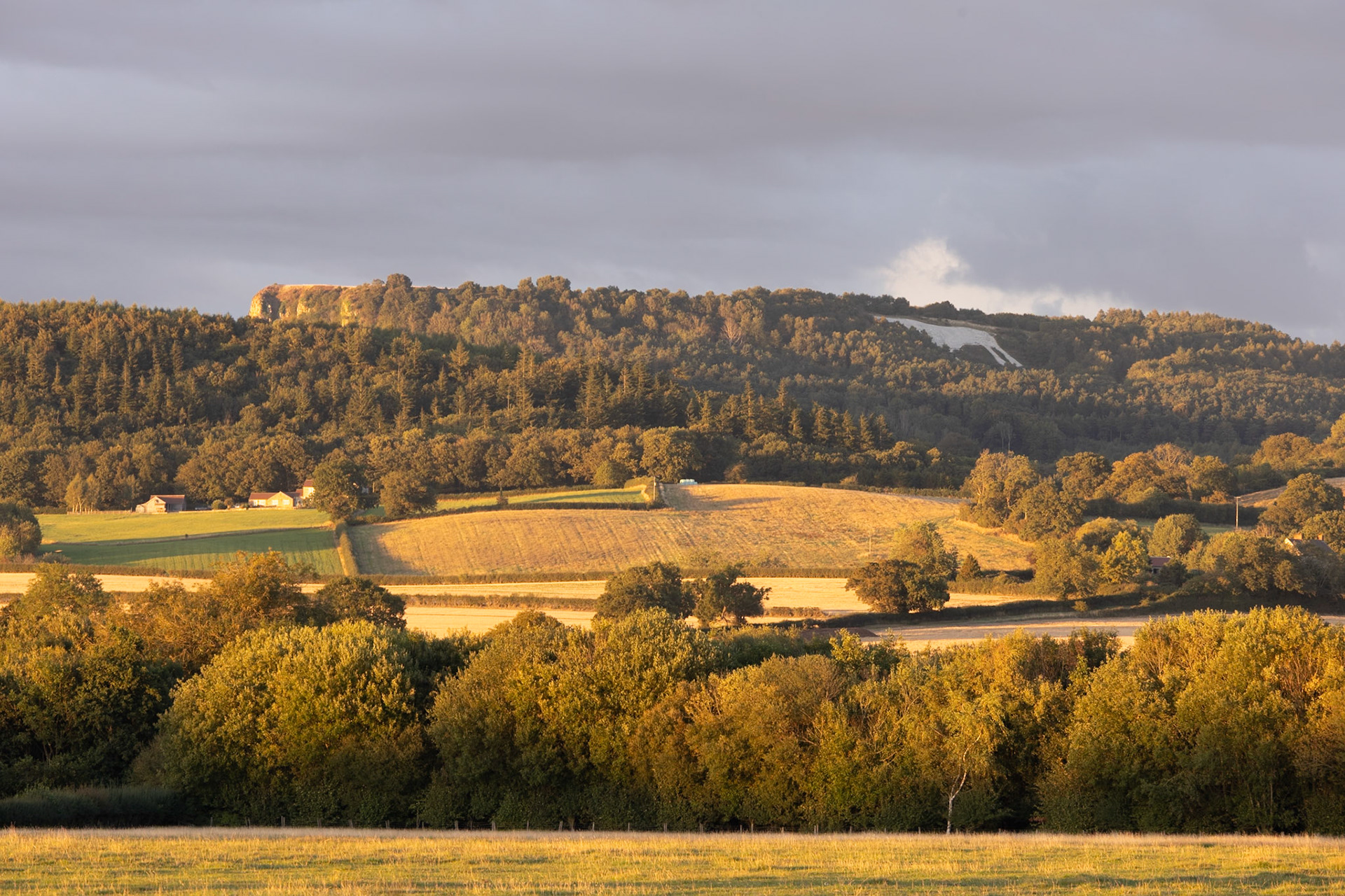 The White Horse in evening light
