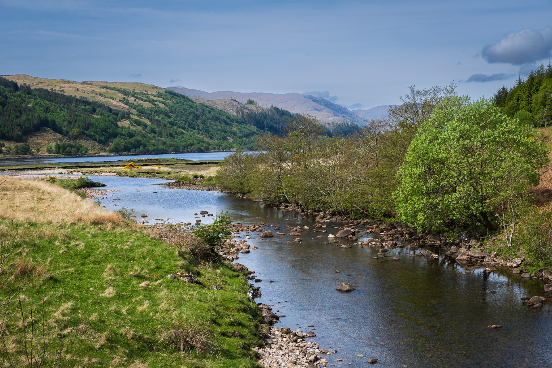 Loch Sunart, Strontian