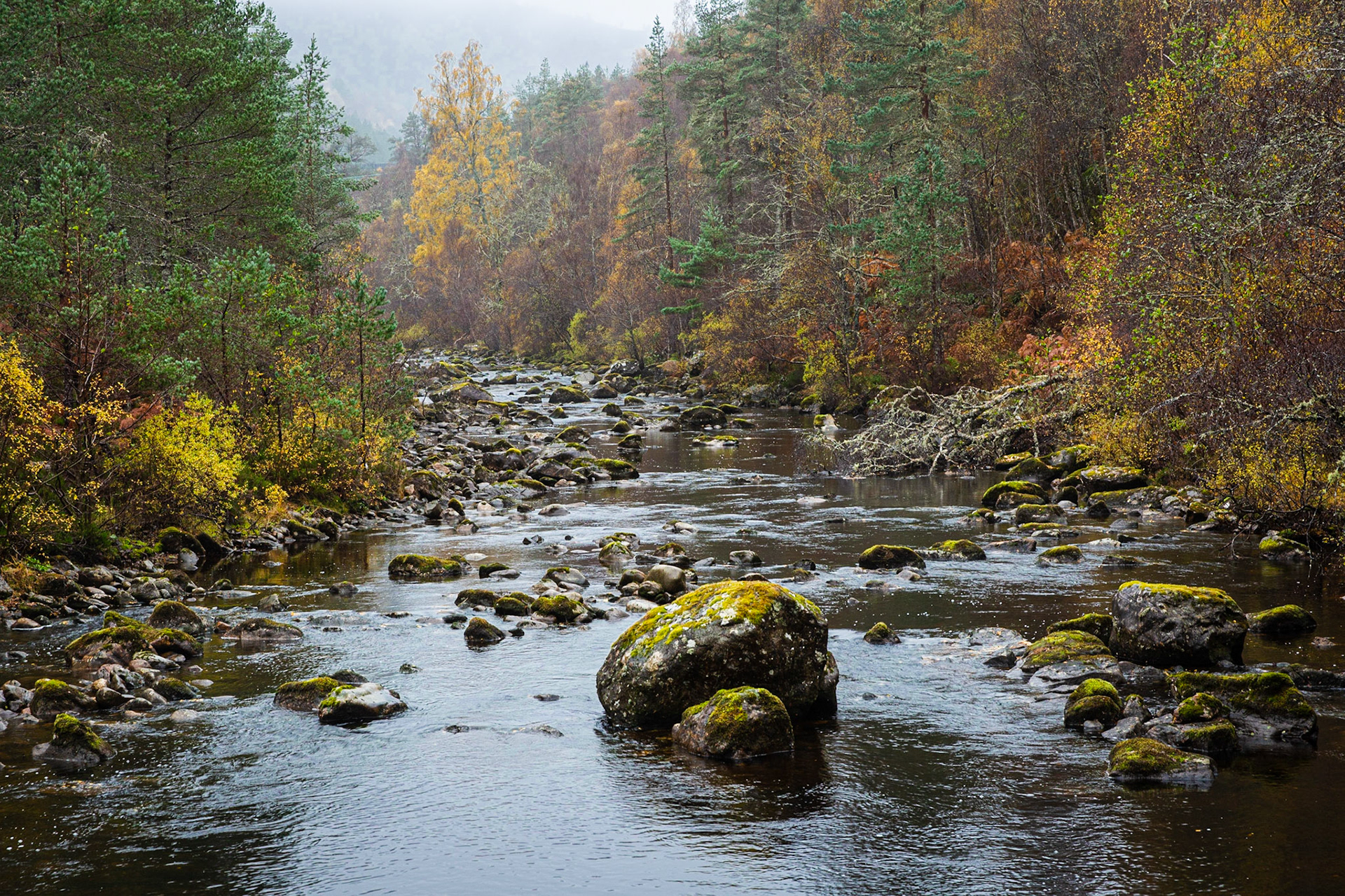 River Affric