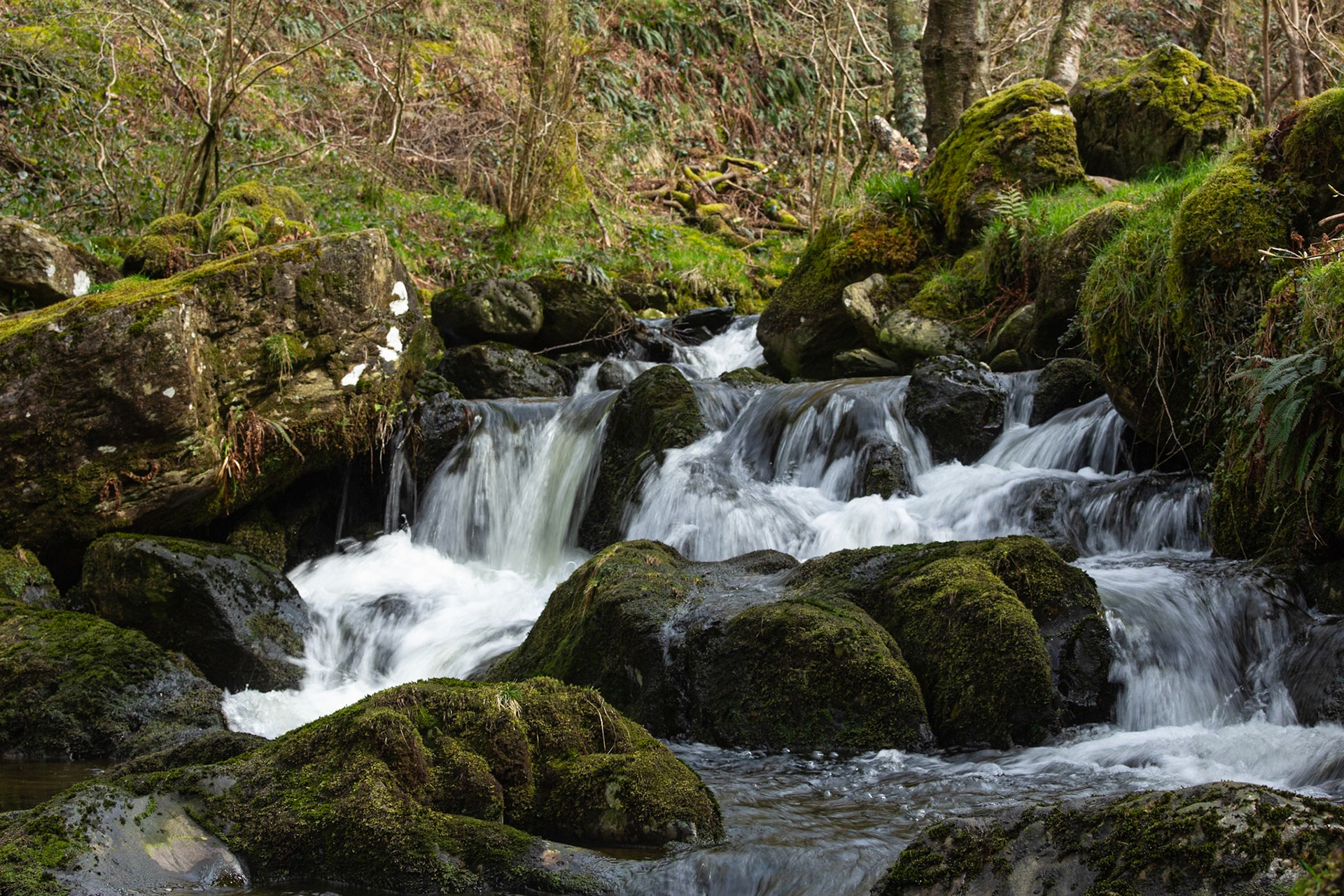 Dolgoch Falls