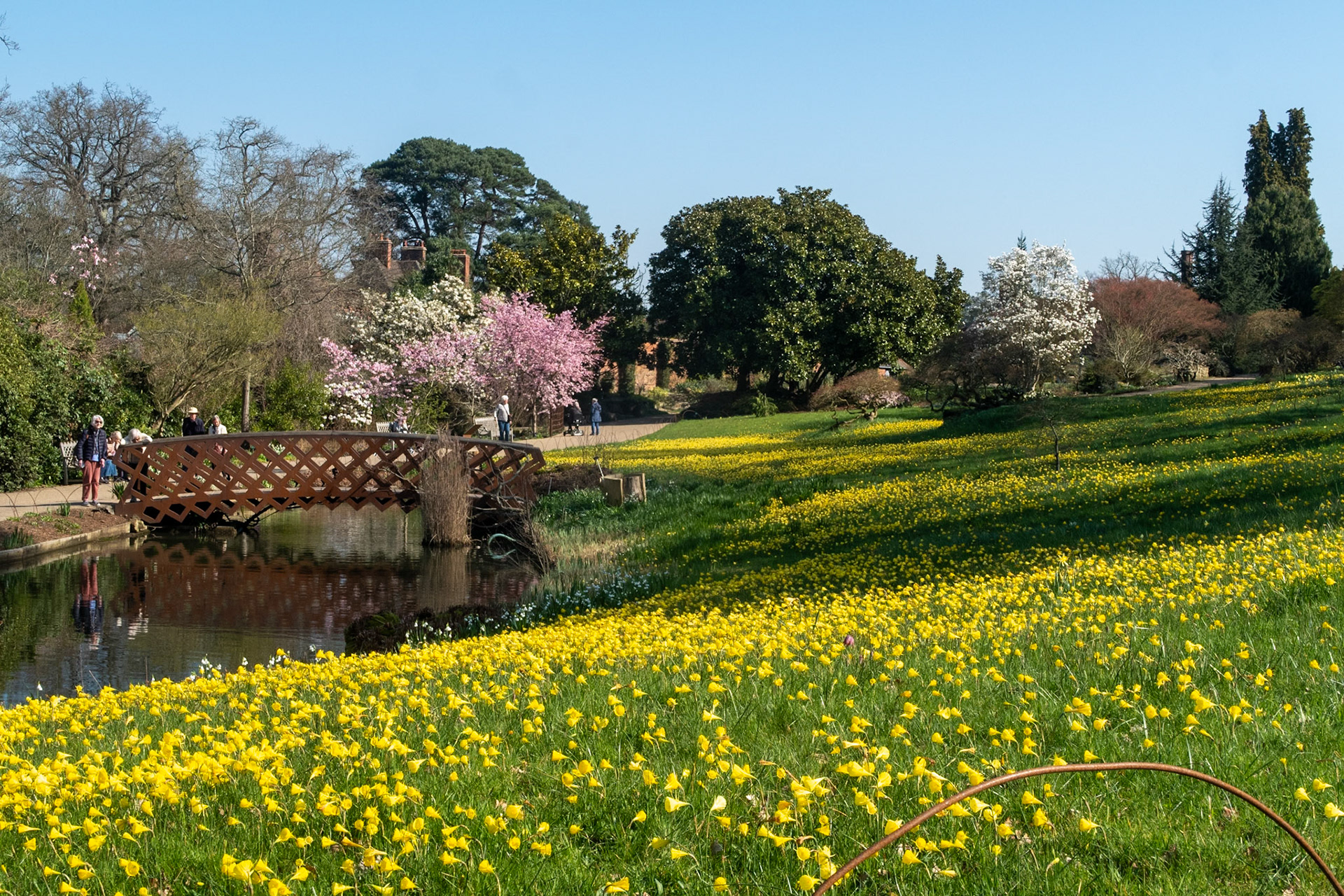 RHS Wisley