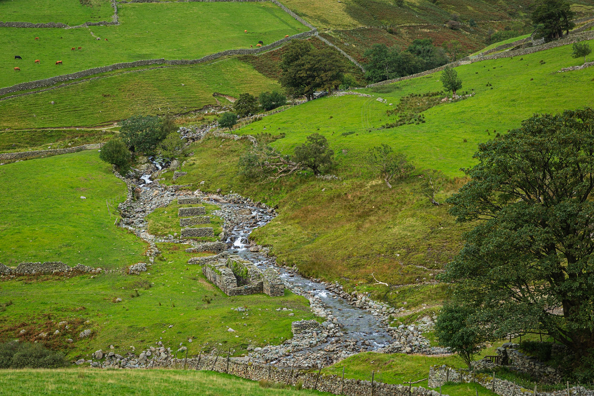 Around Dove dale