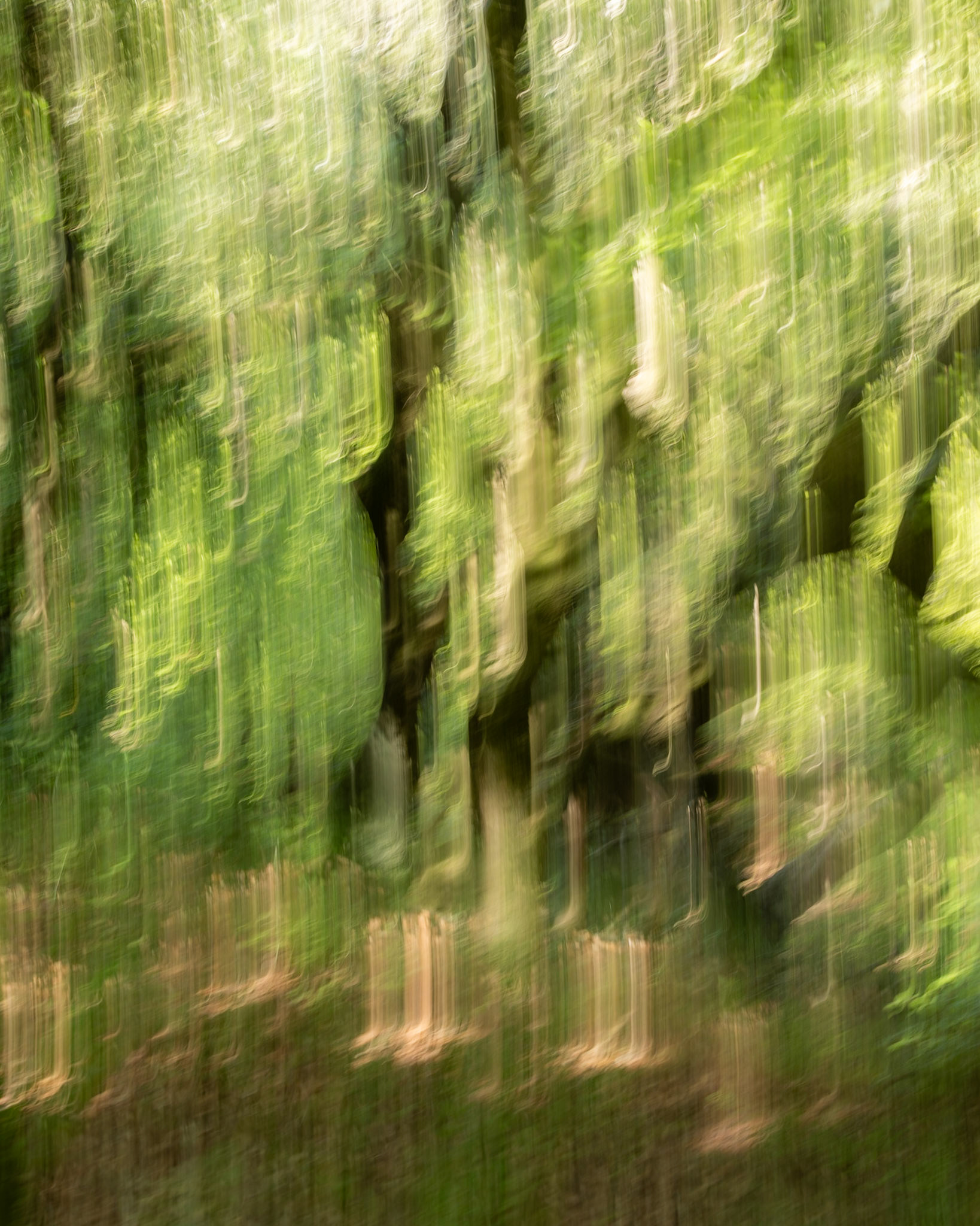 Trees in a frenzy