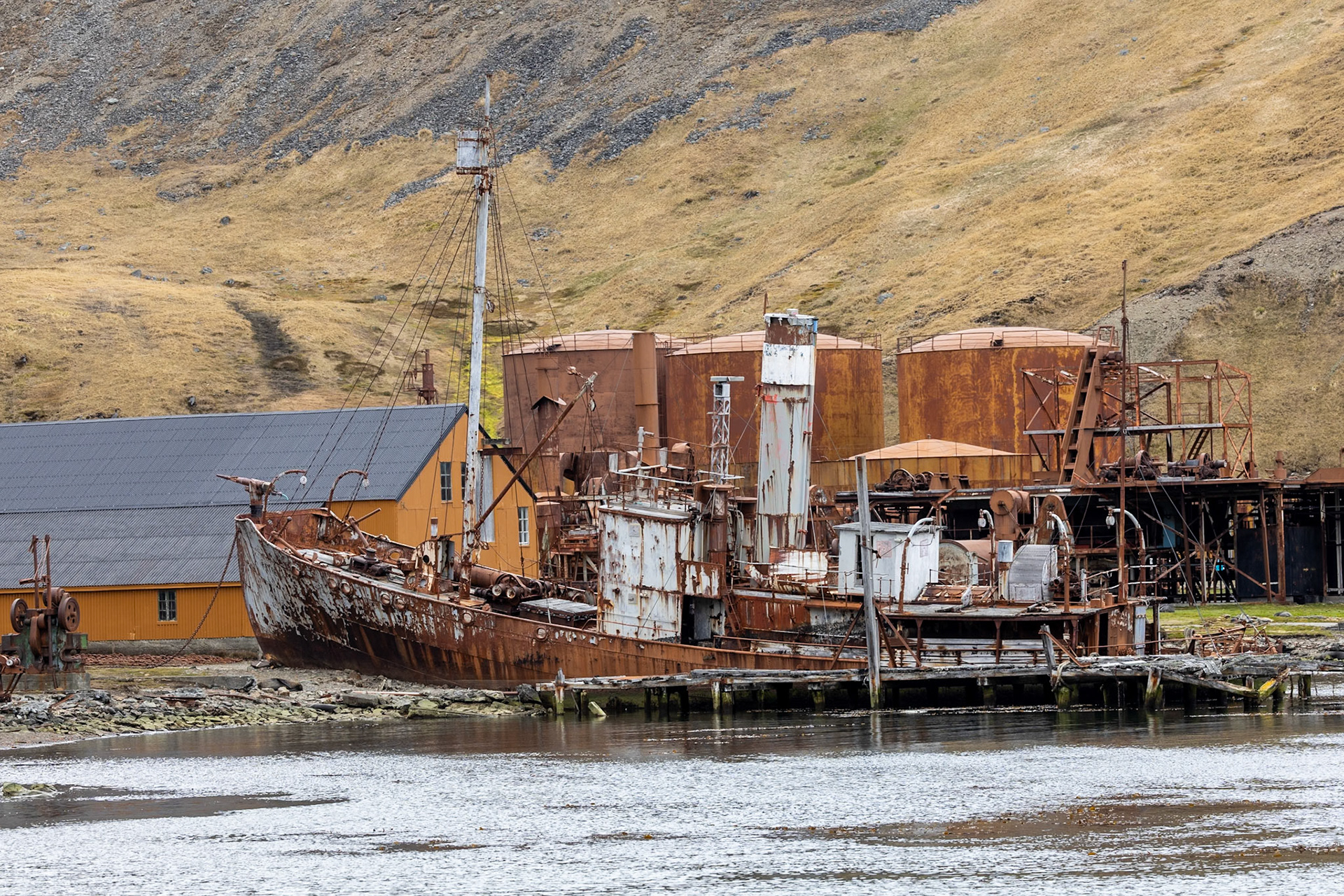 The Petrel - a whaler