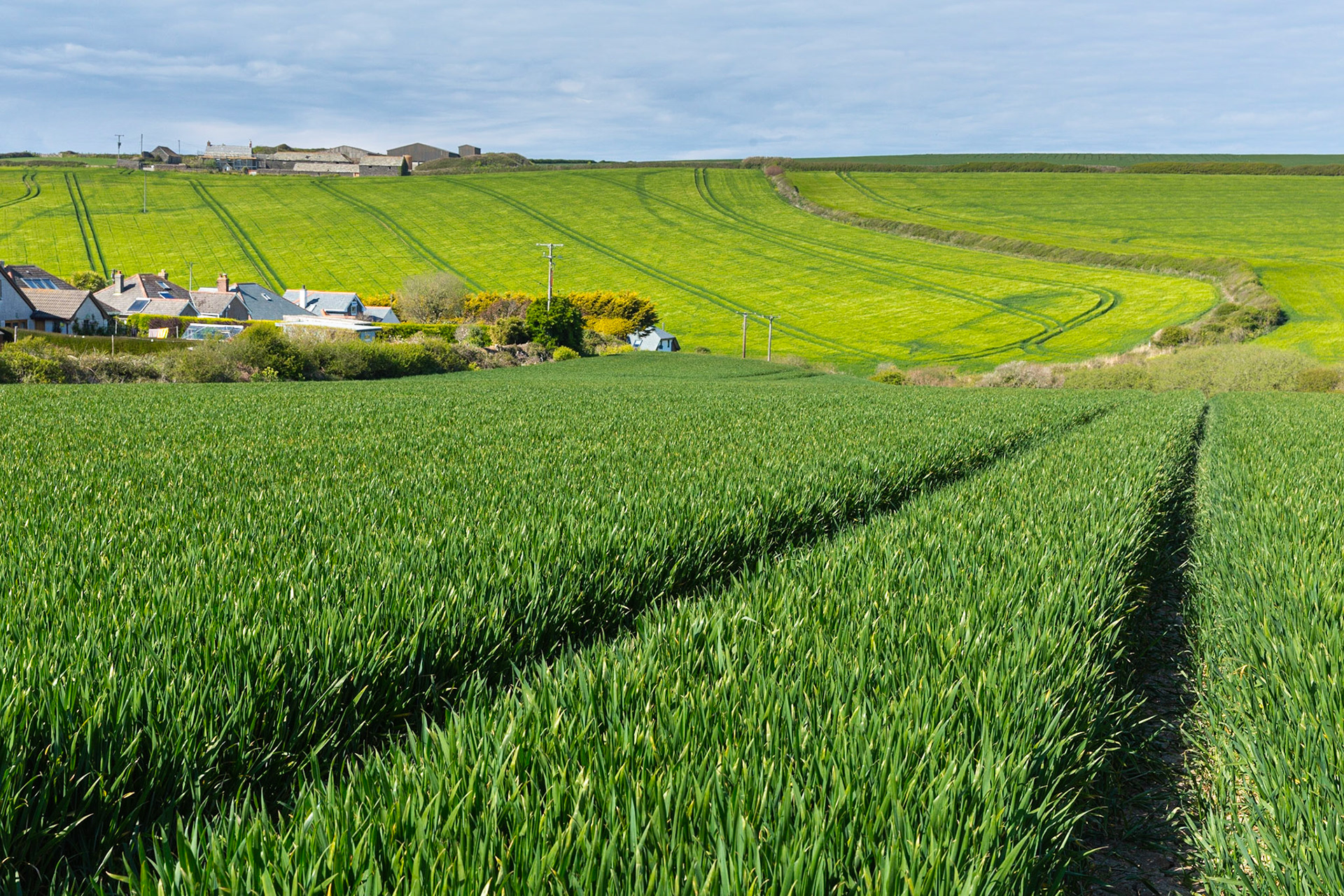 Trevone farmland