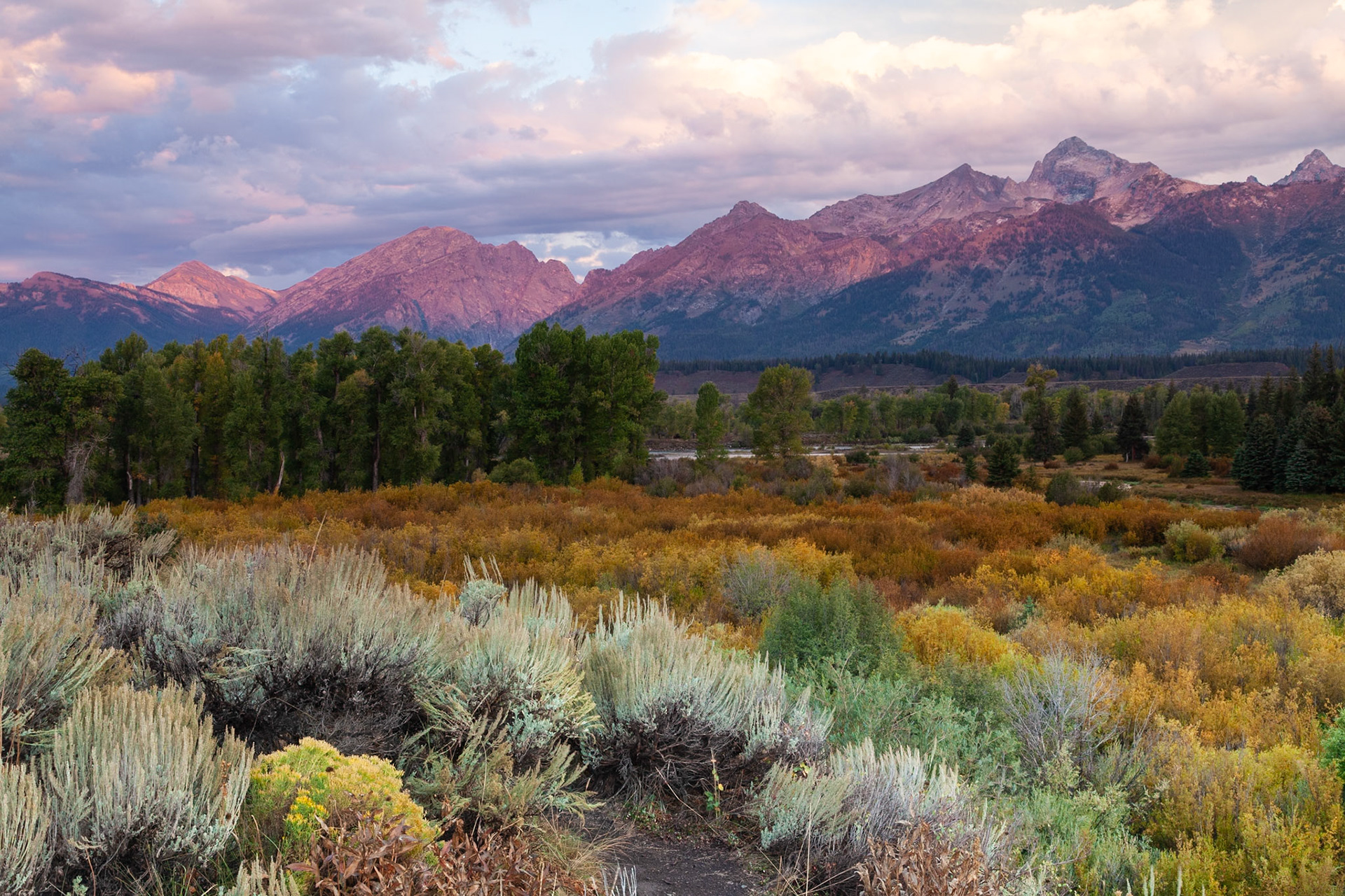Blackail Ponds -early morning