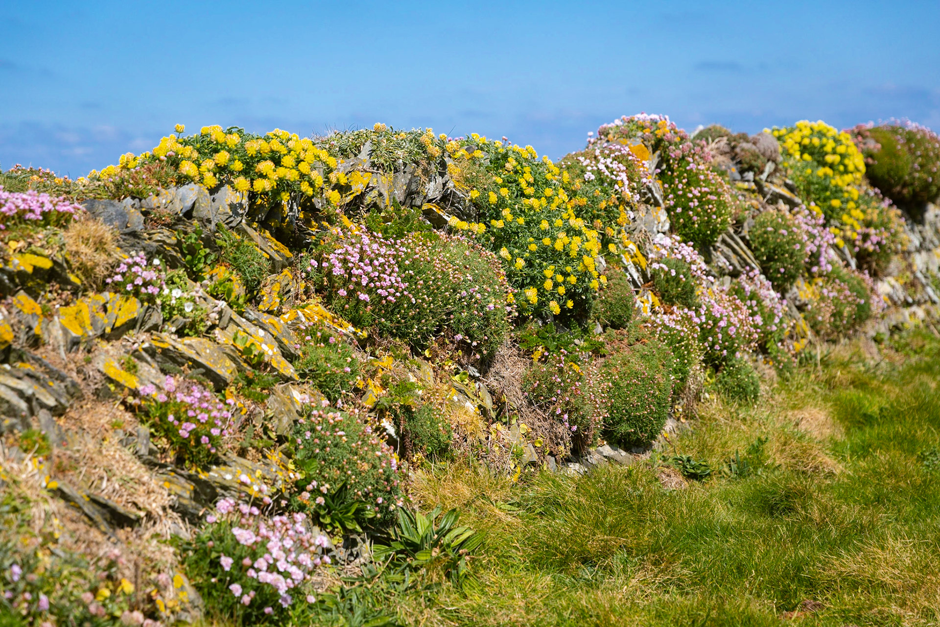 Near Porthmisson Bridge